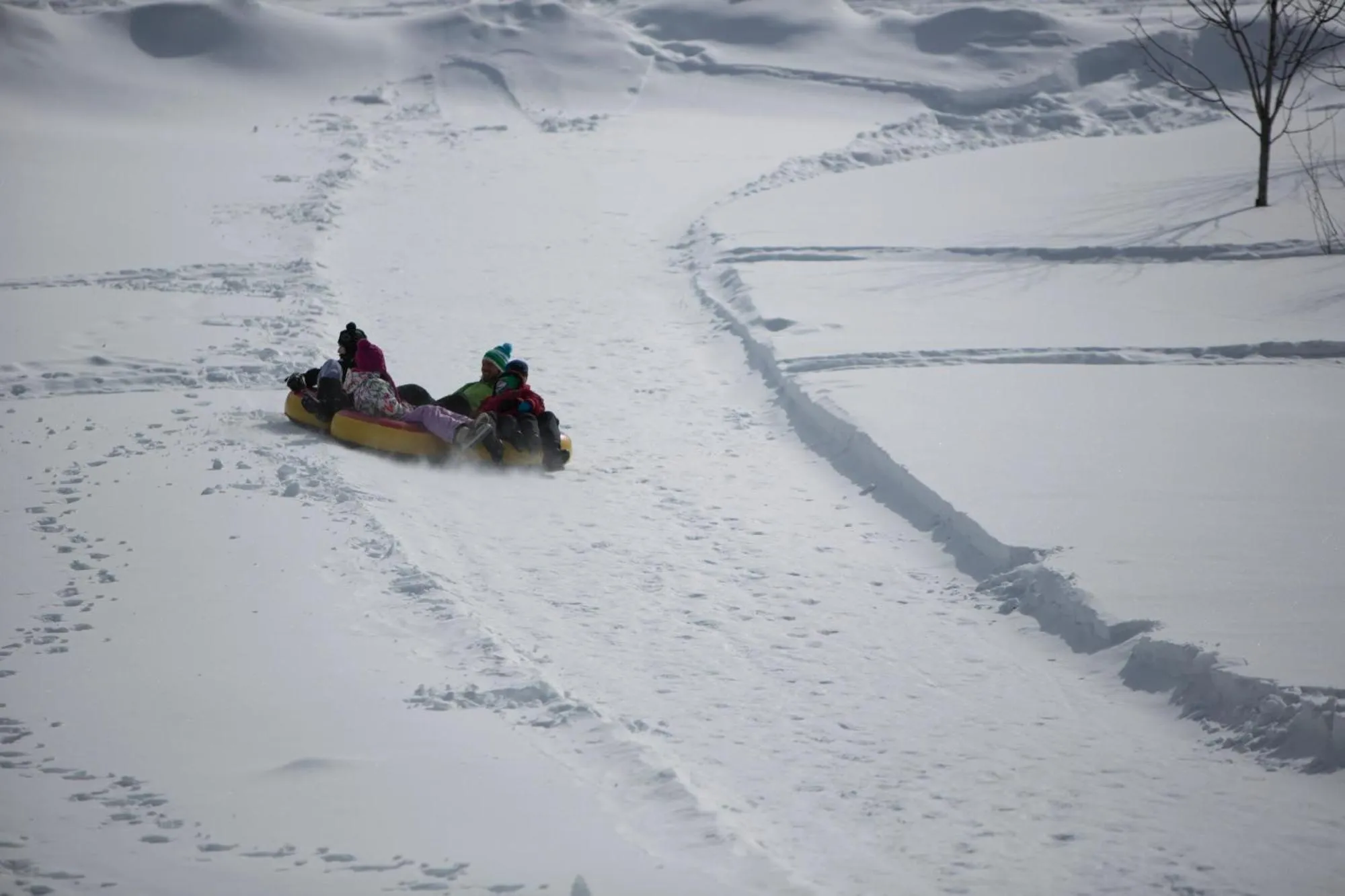 Activities in Station Touristique Duchesnay - Sepaq