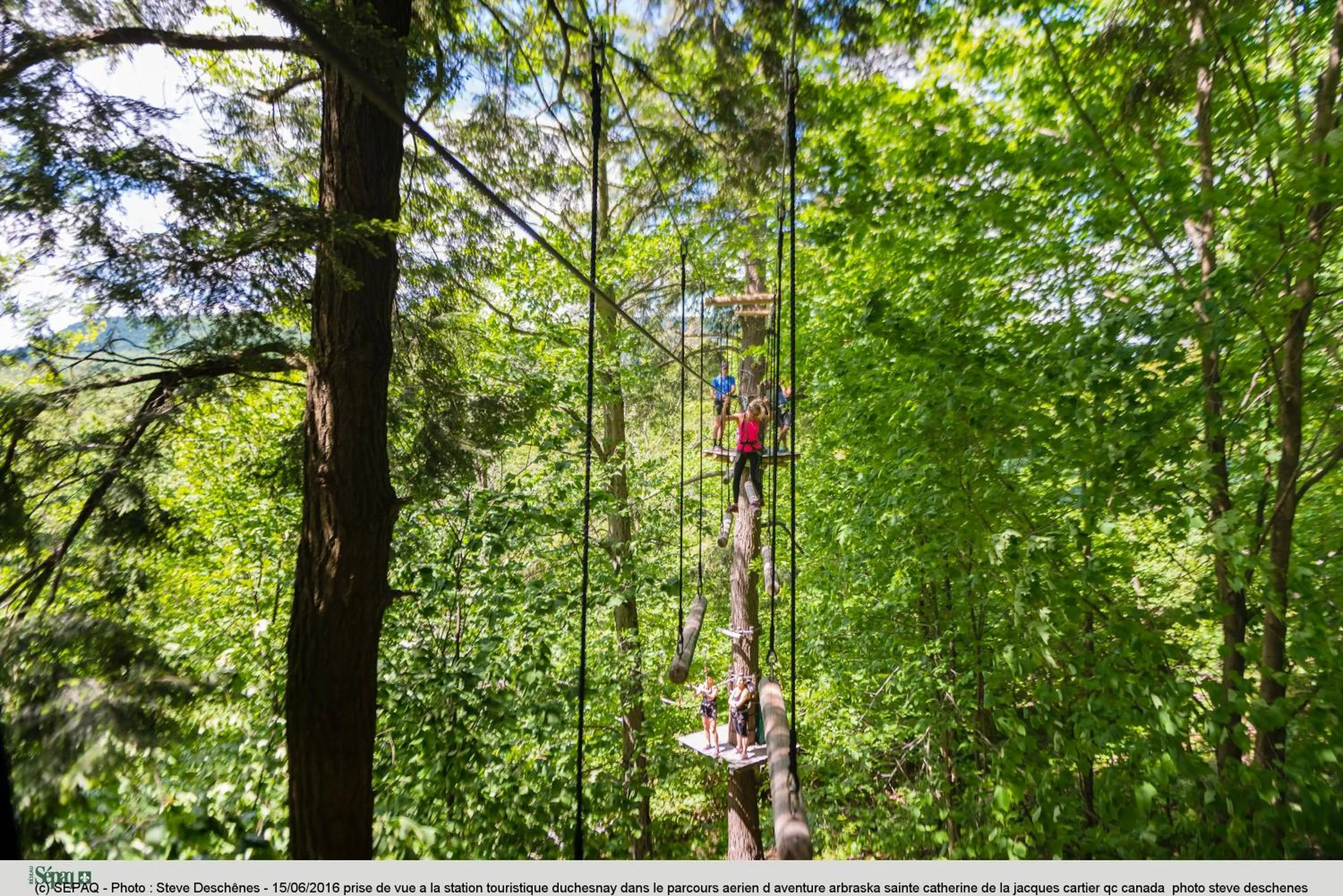 Spring in Station Touristique Duchesnay - Sepaq