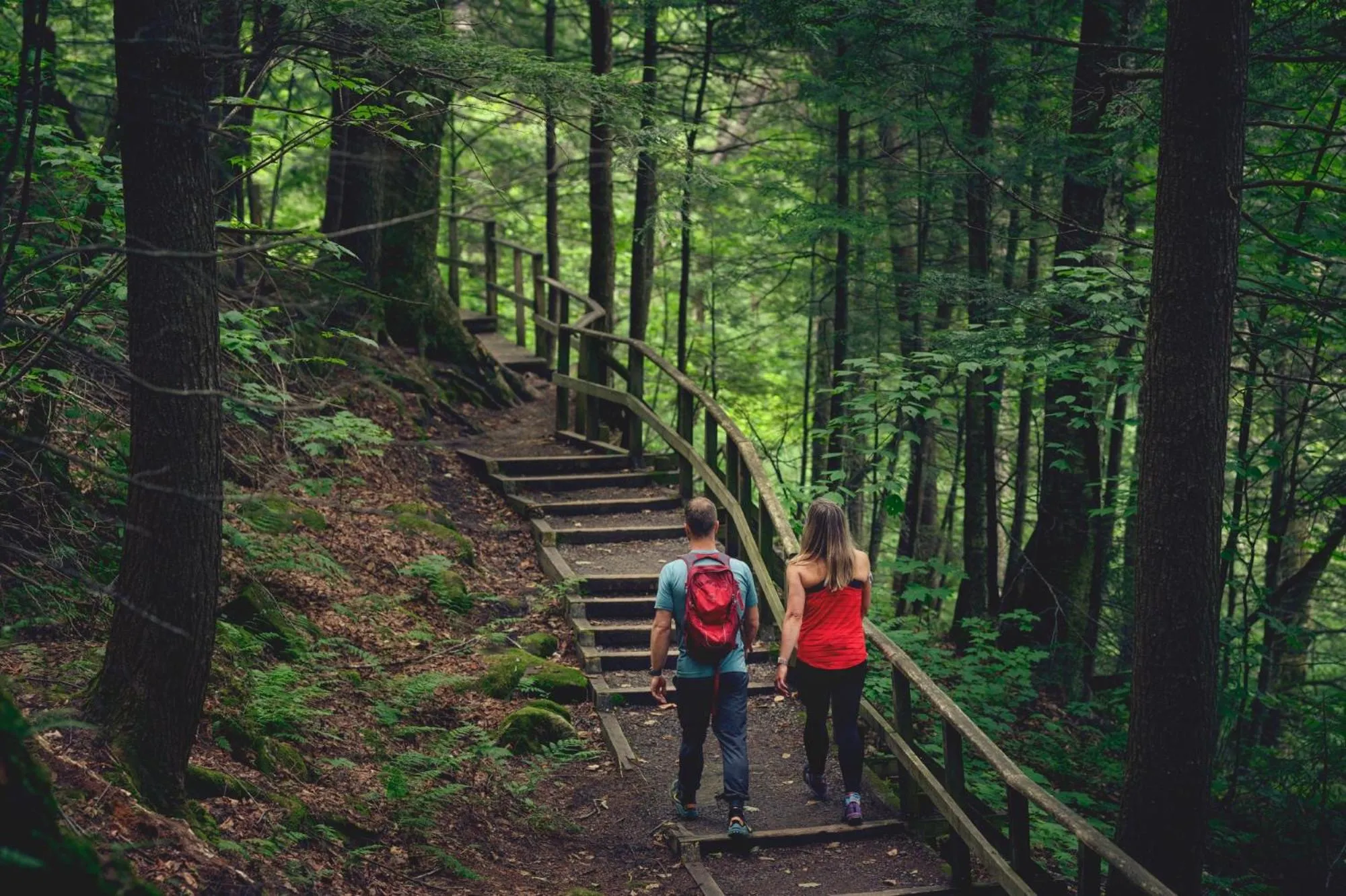 Property building in Station Touristique Duchesnay - Sepaq