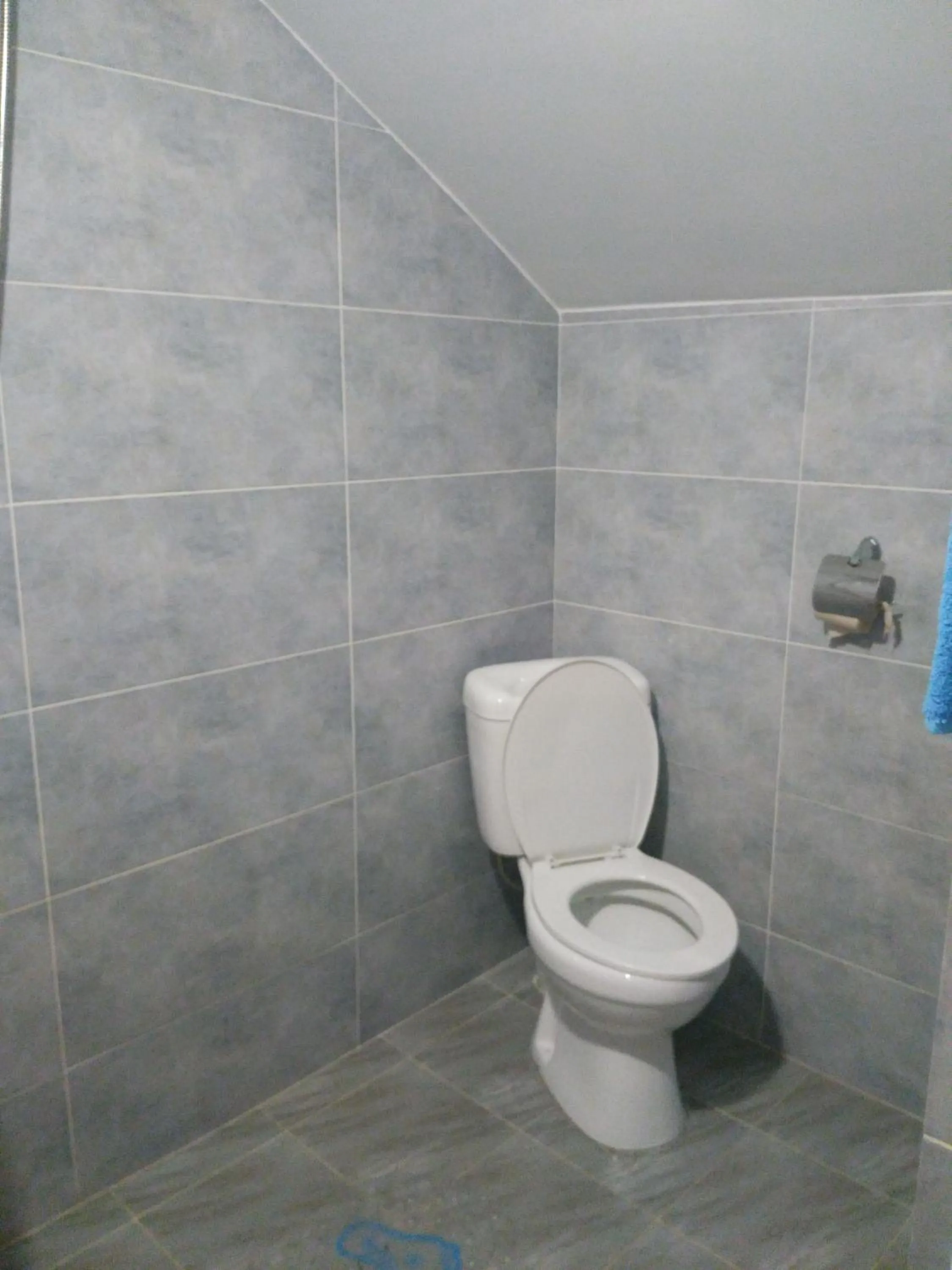 Toilet in Three Gracia