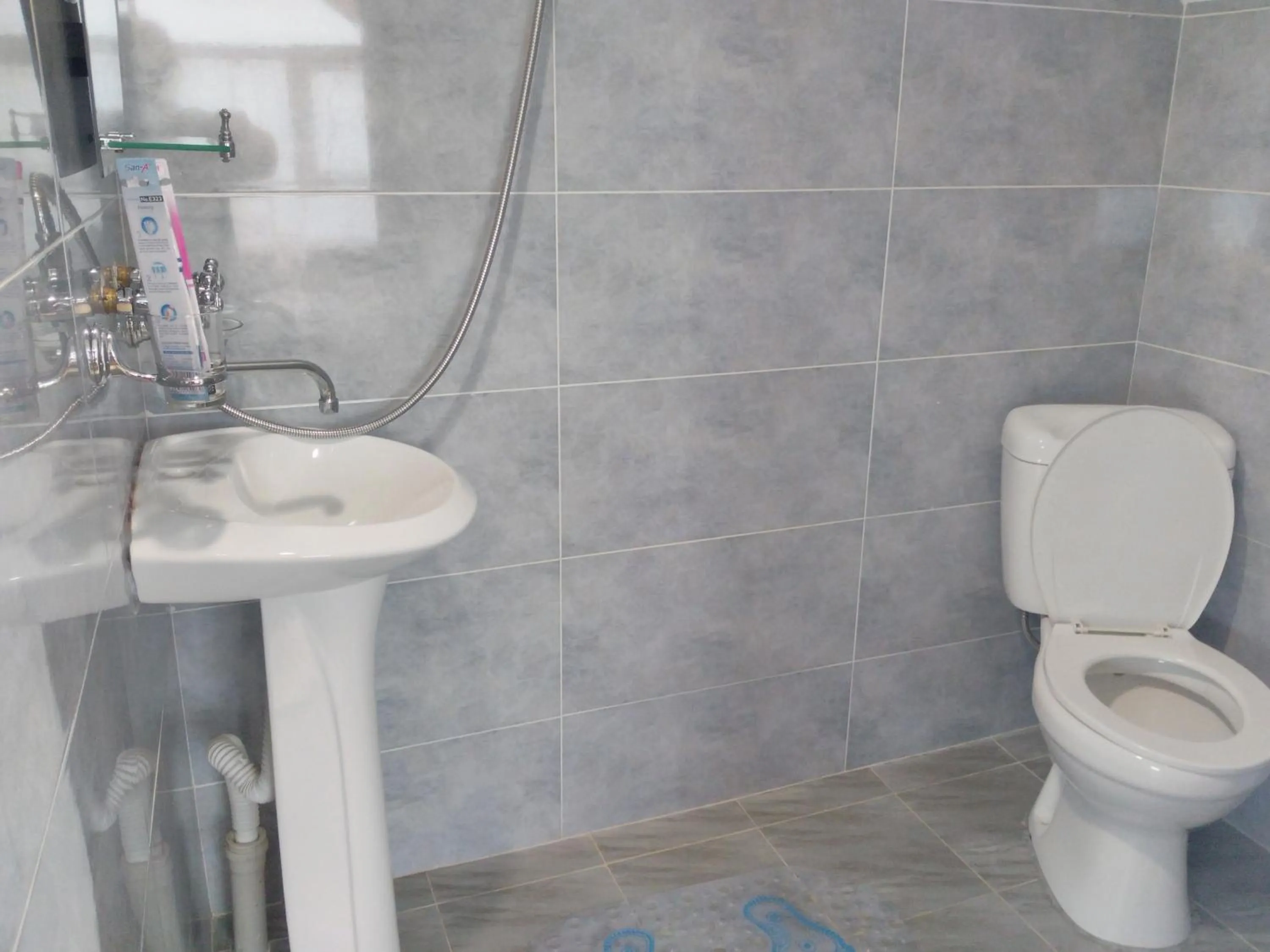 Toilet in Three Gracia