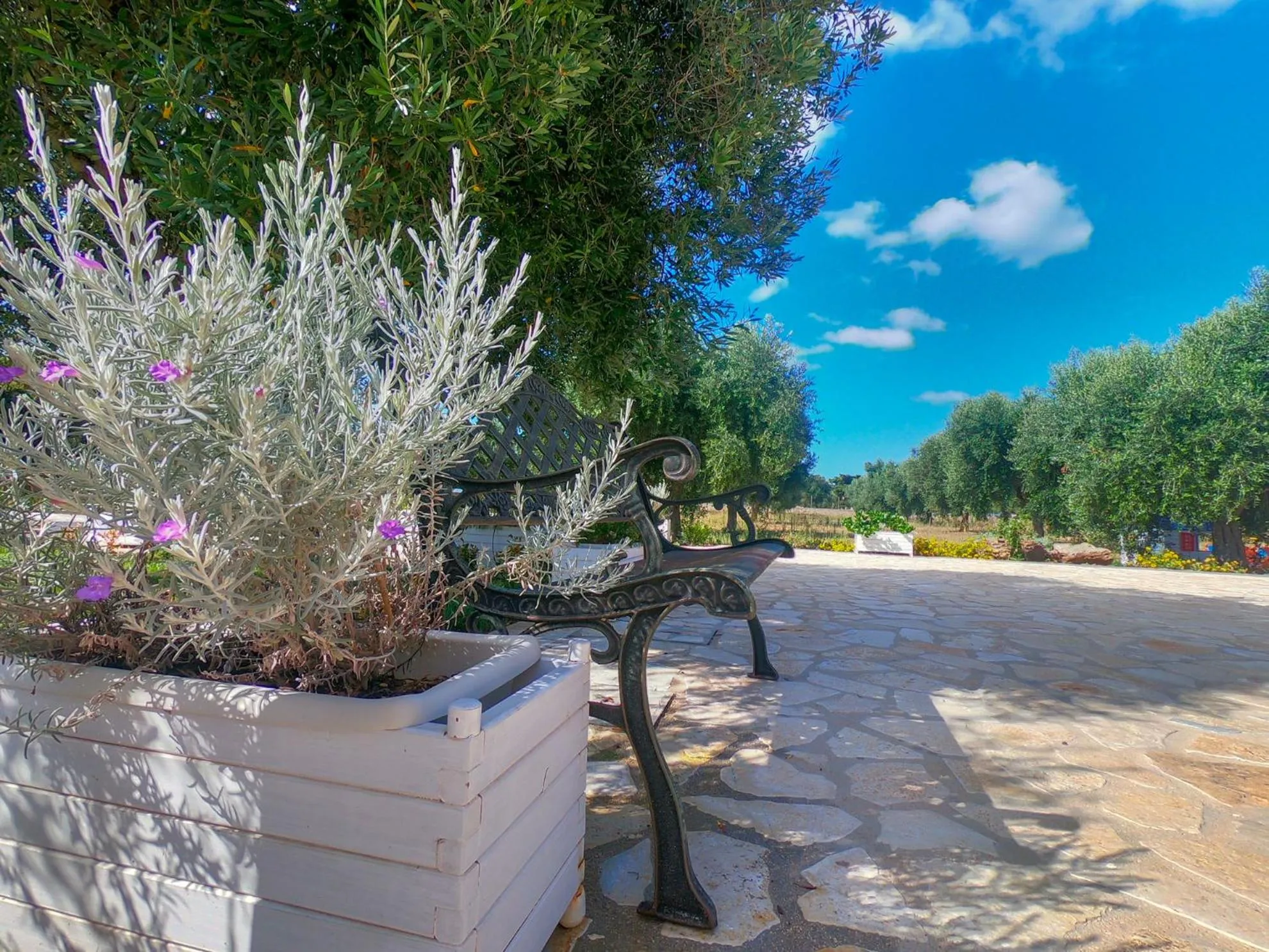 Garden in Terra dei Sogni