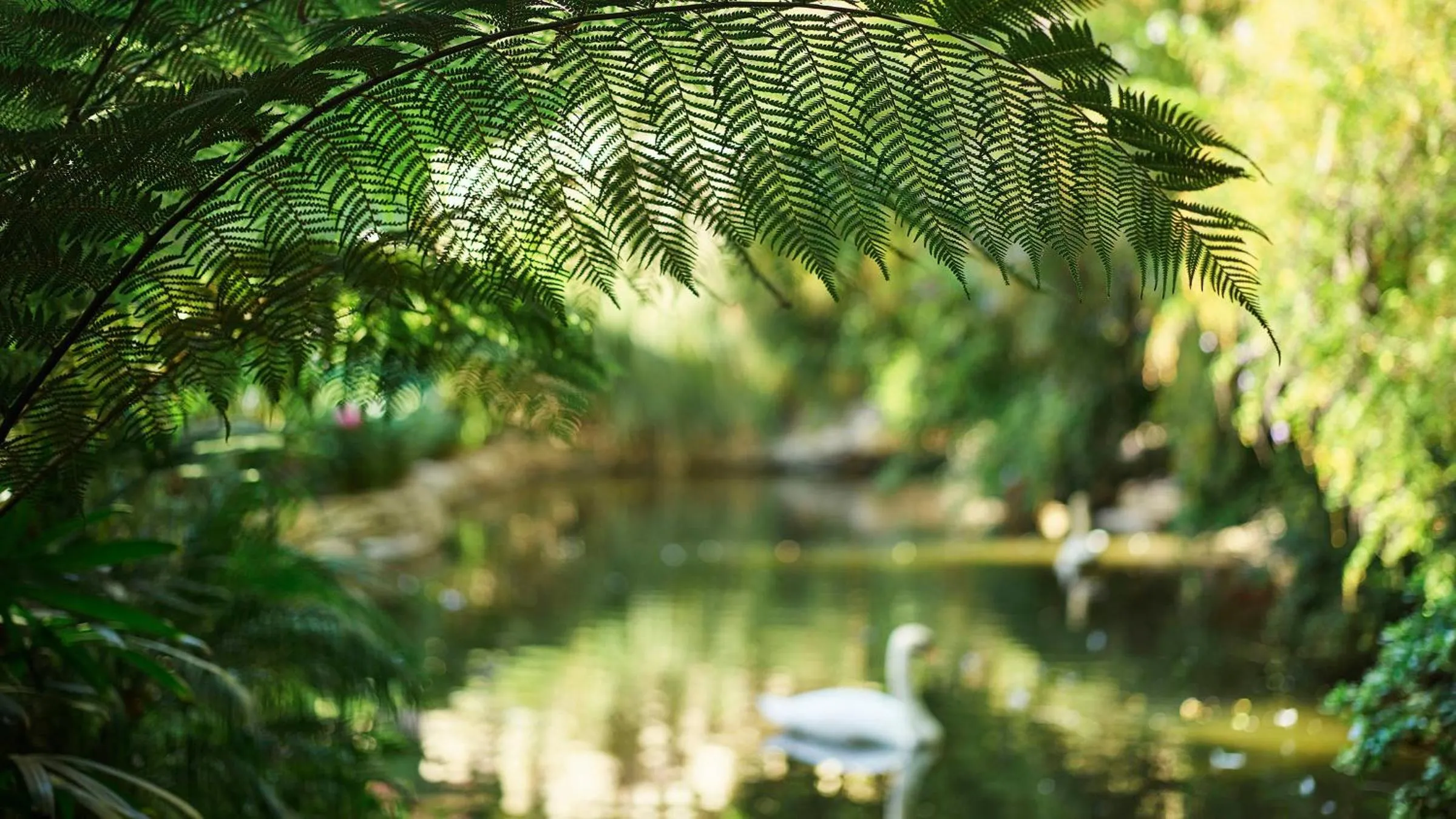 Garden in Hotel Bel-Air - Dorchester Collection