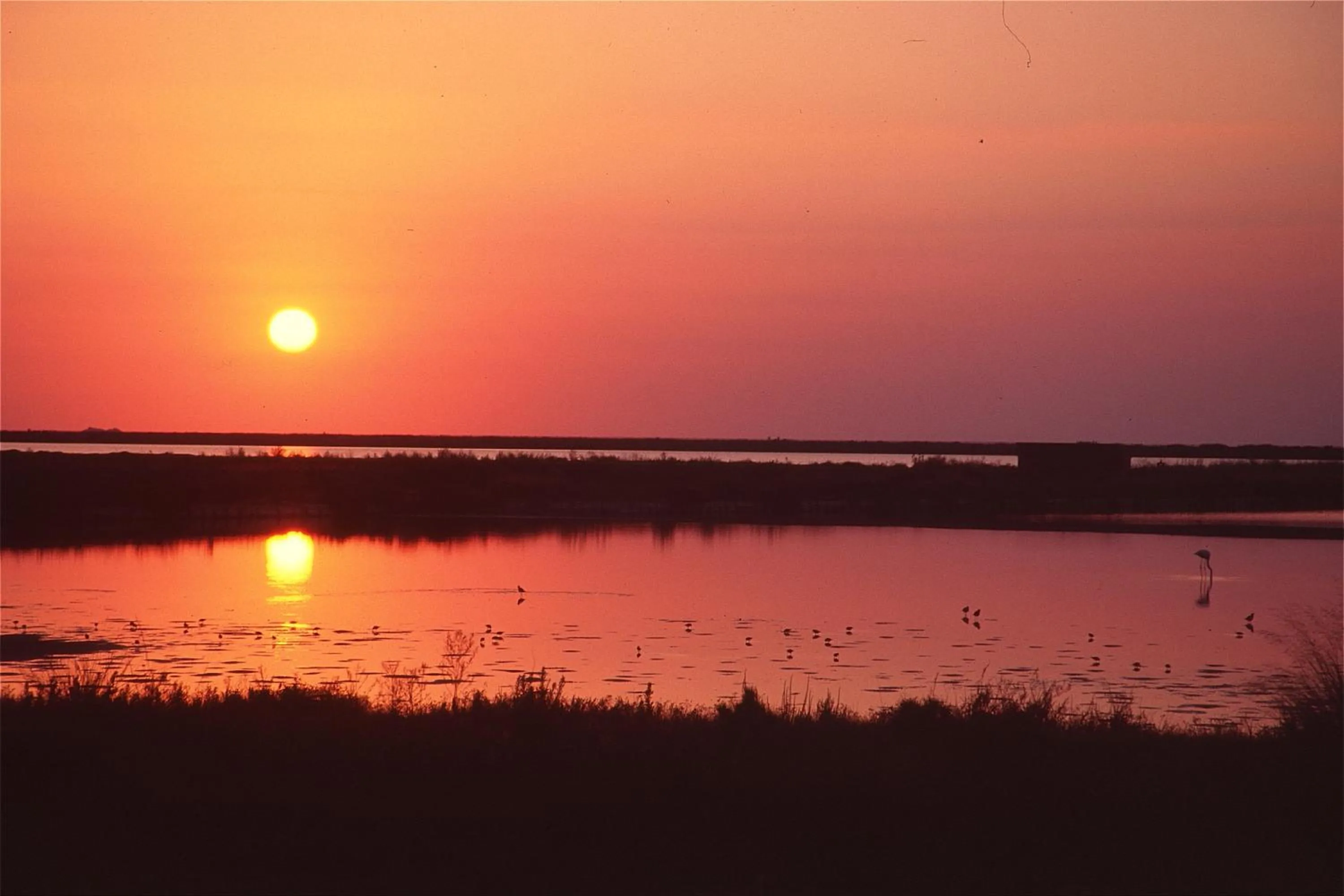 Natural landscape in Azureva La Londe les Maures