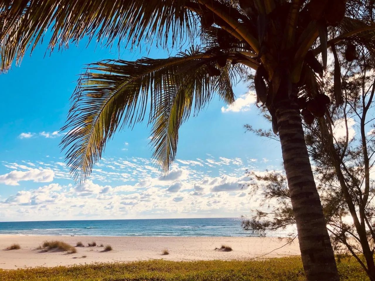 Sea view in Liquid Dive Adventures