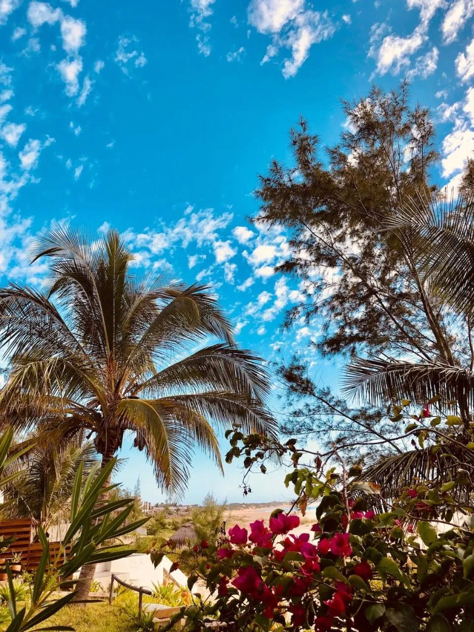 Garden in Liquid Dive Adventures