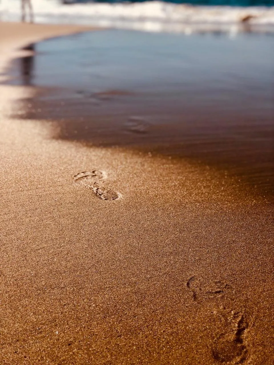 Beach in Liquid Dive Adventures