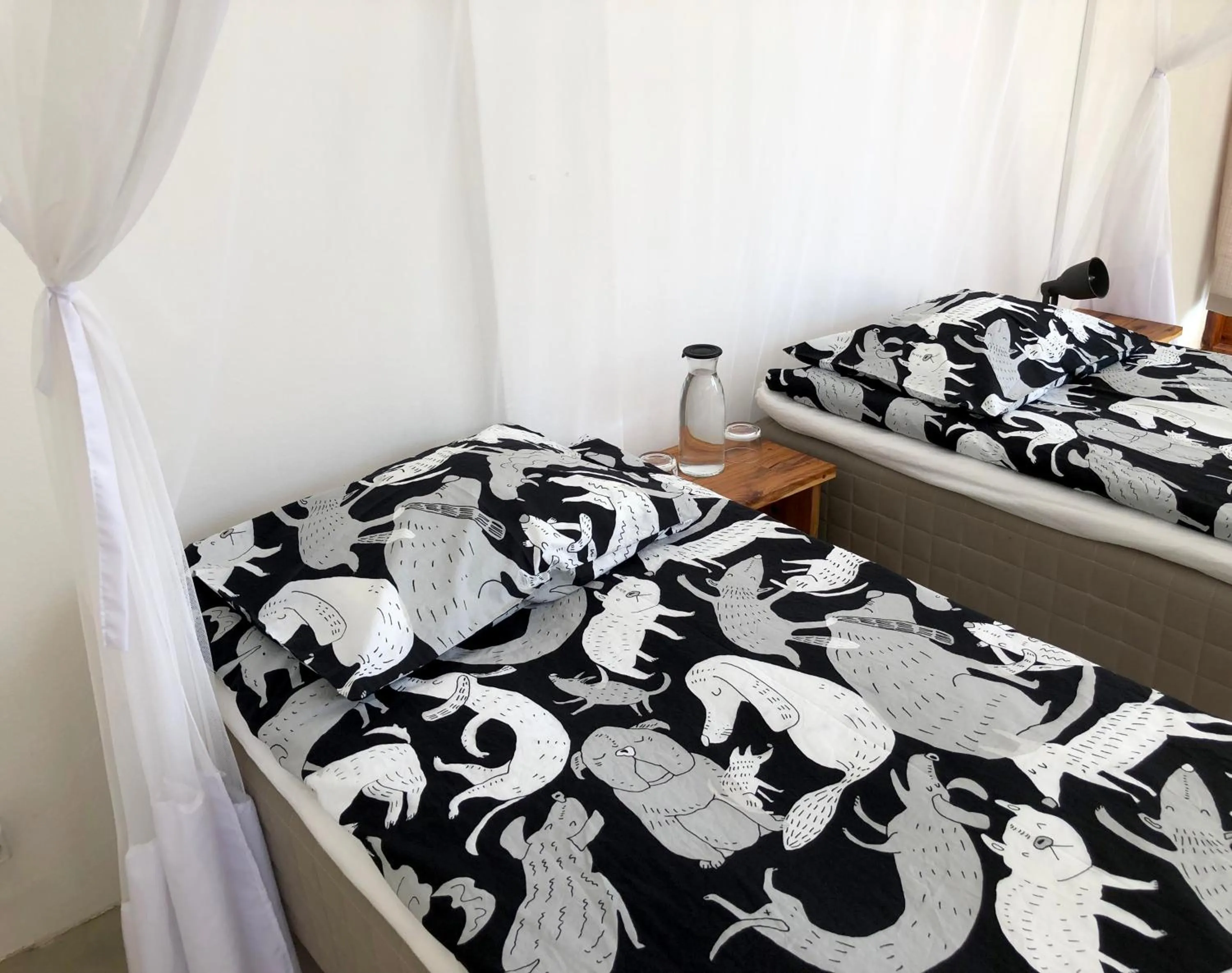 Photo of the whole room, Bed in Liquid Dive Adventures