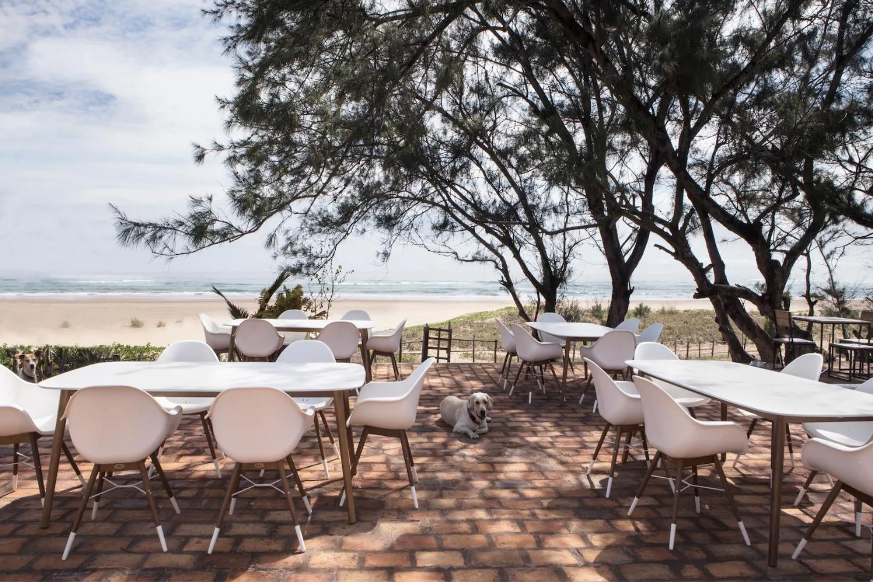 Restaurant/places to eat in Liquid Dive Adventures