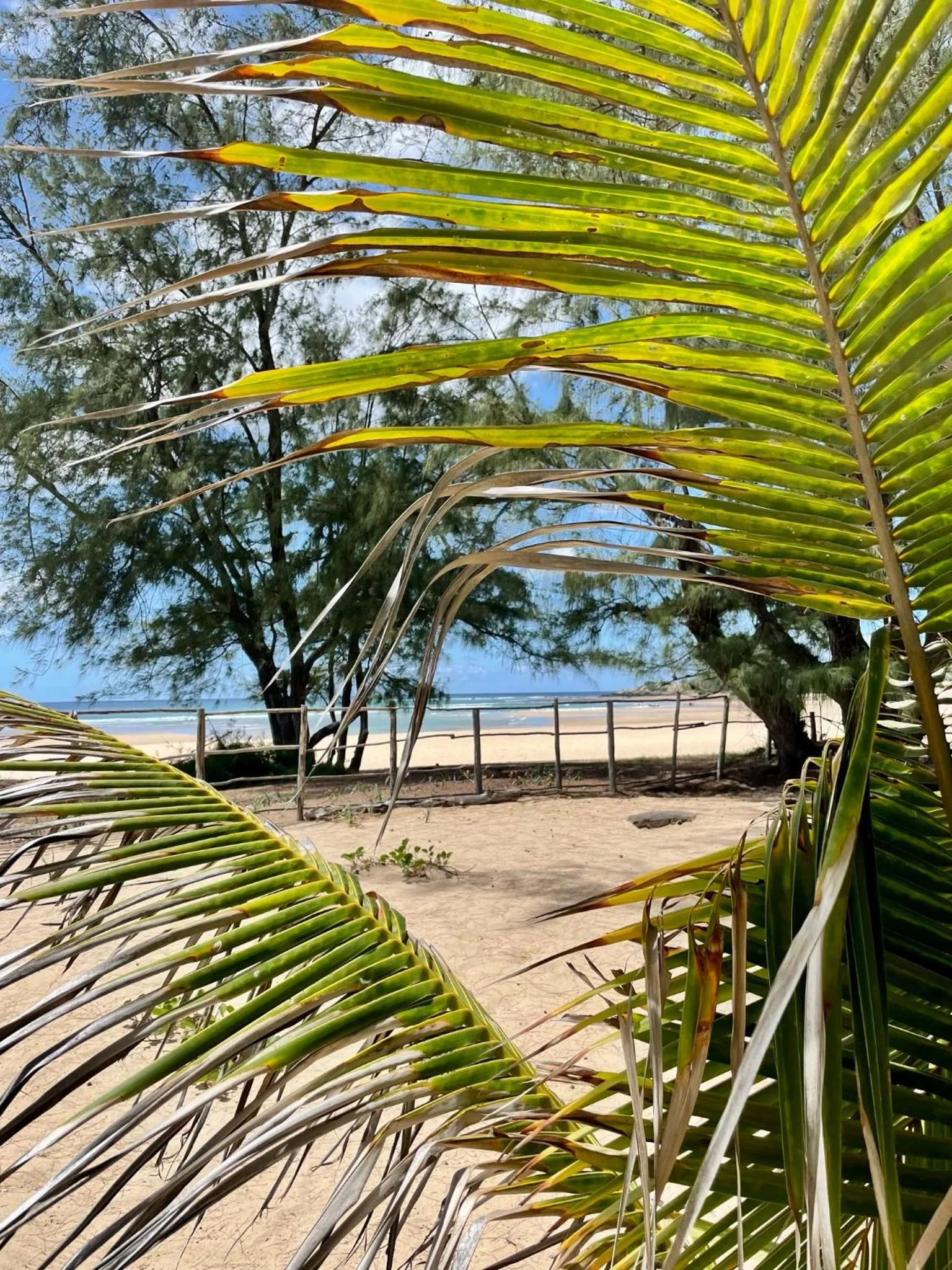 Natural landscape in Liquid Dive Adventures