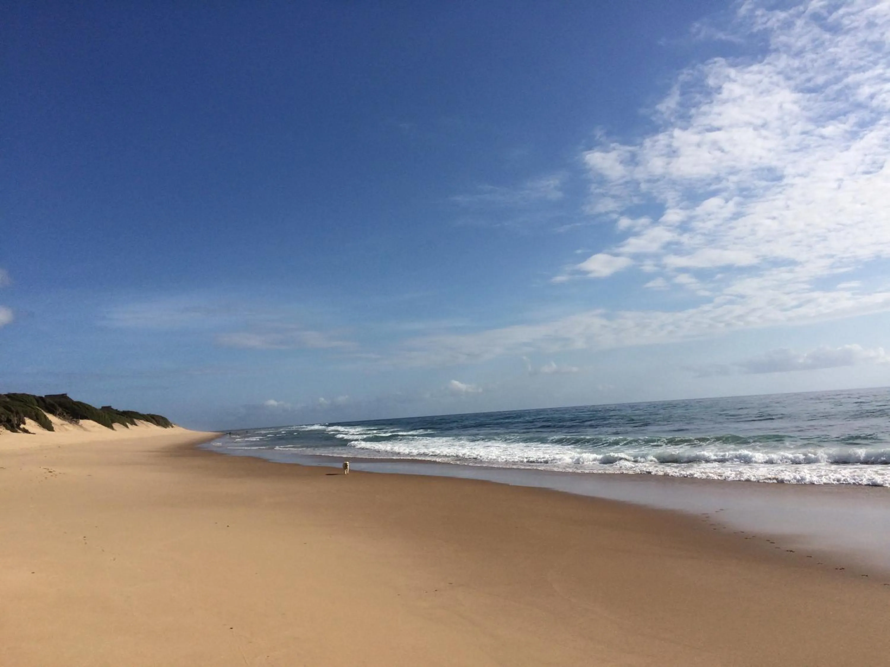 Beach in Liquid Dive Adventures