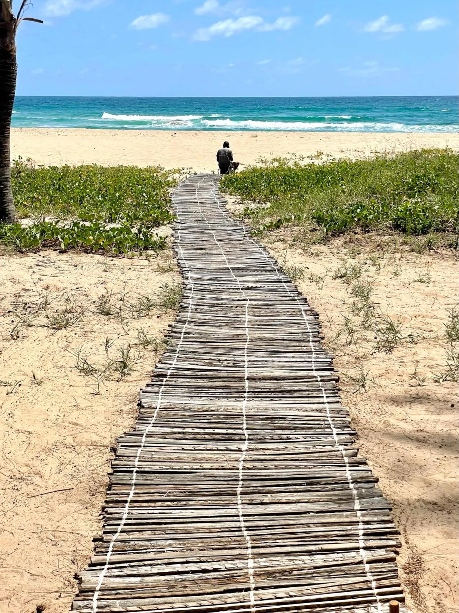 Day in Liquid Dive Adventures