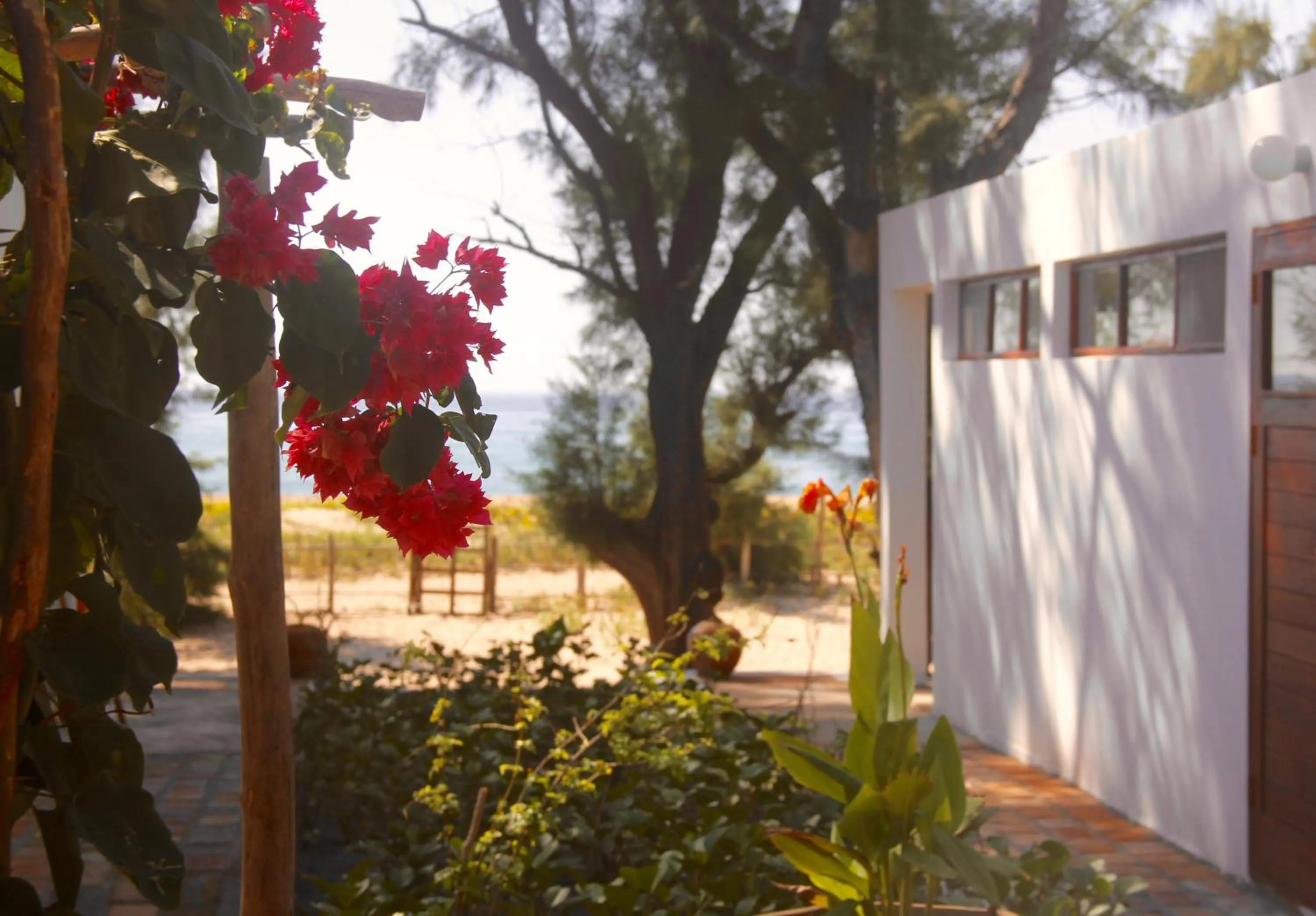 Property building in Liquid Dive Adventures