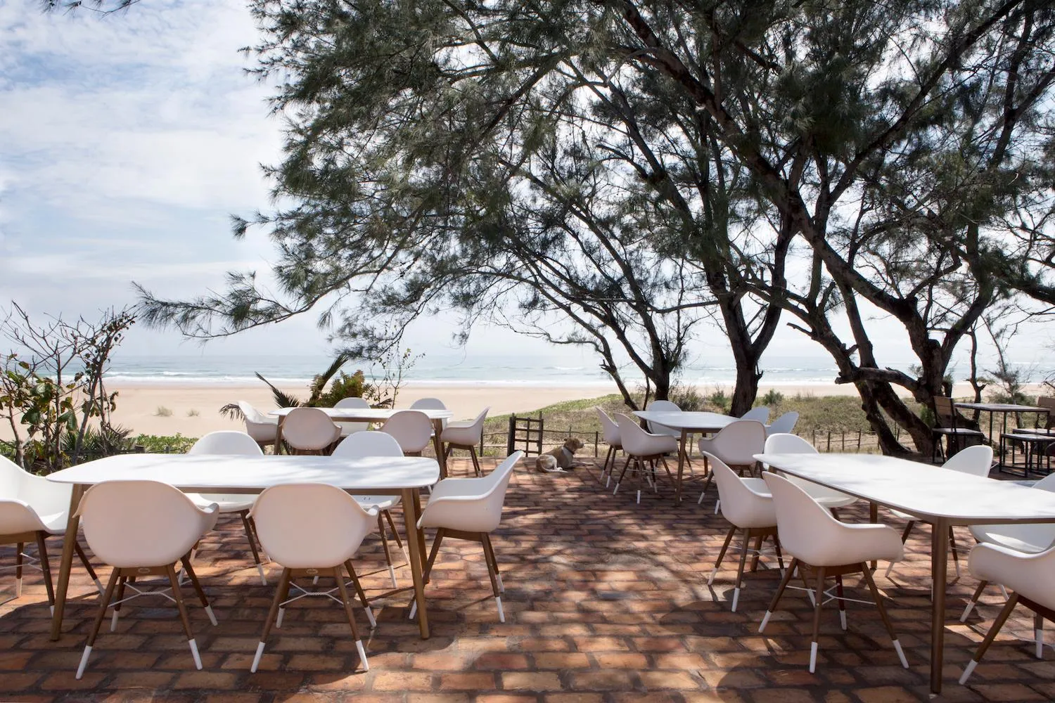 Patio in Liquid Dive Adventures