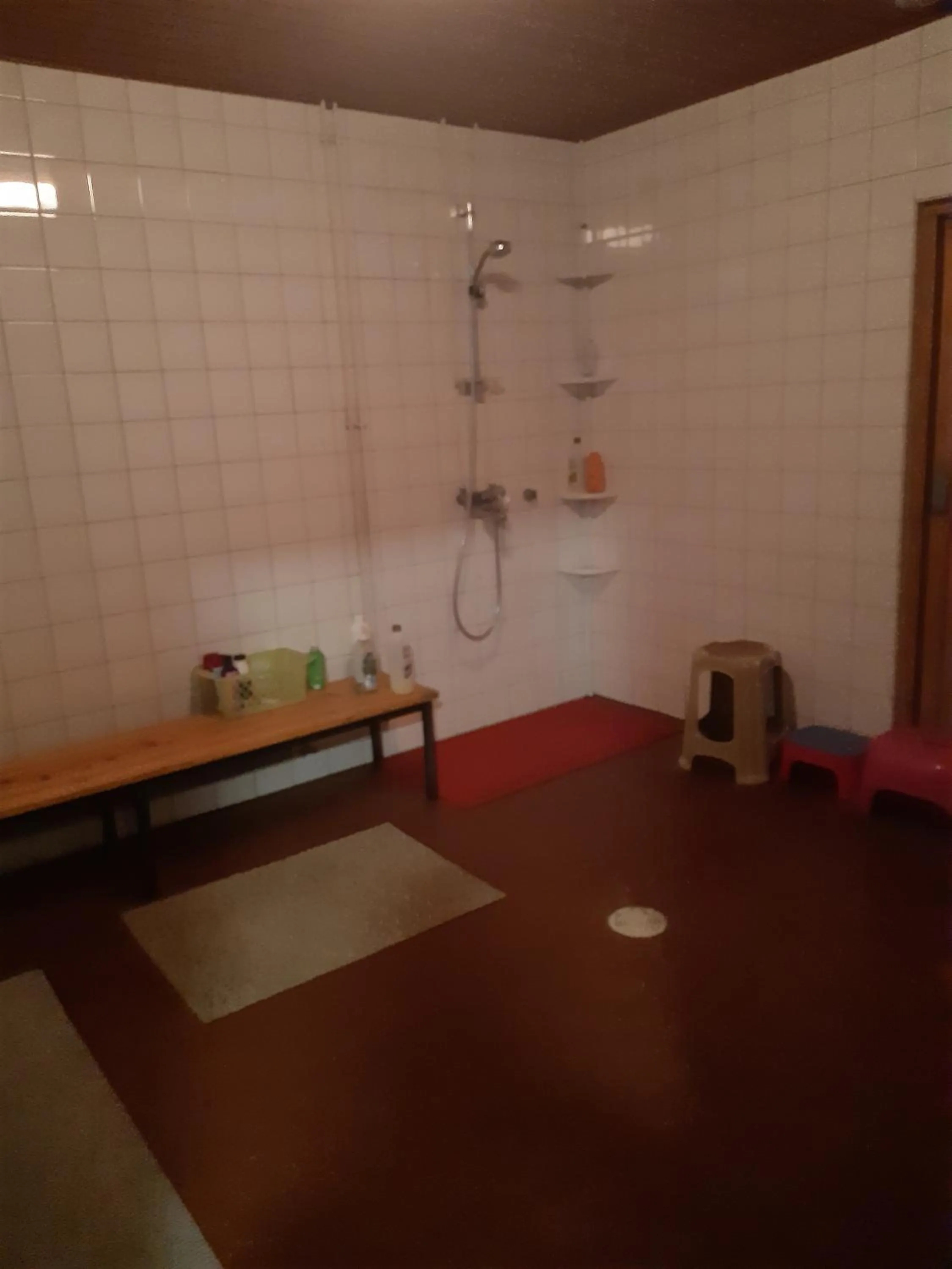 Shower in Minimotel