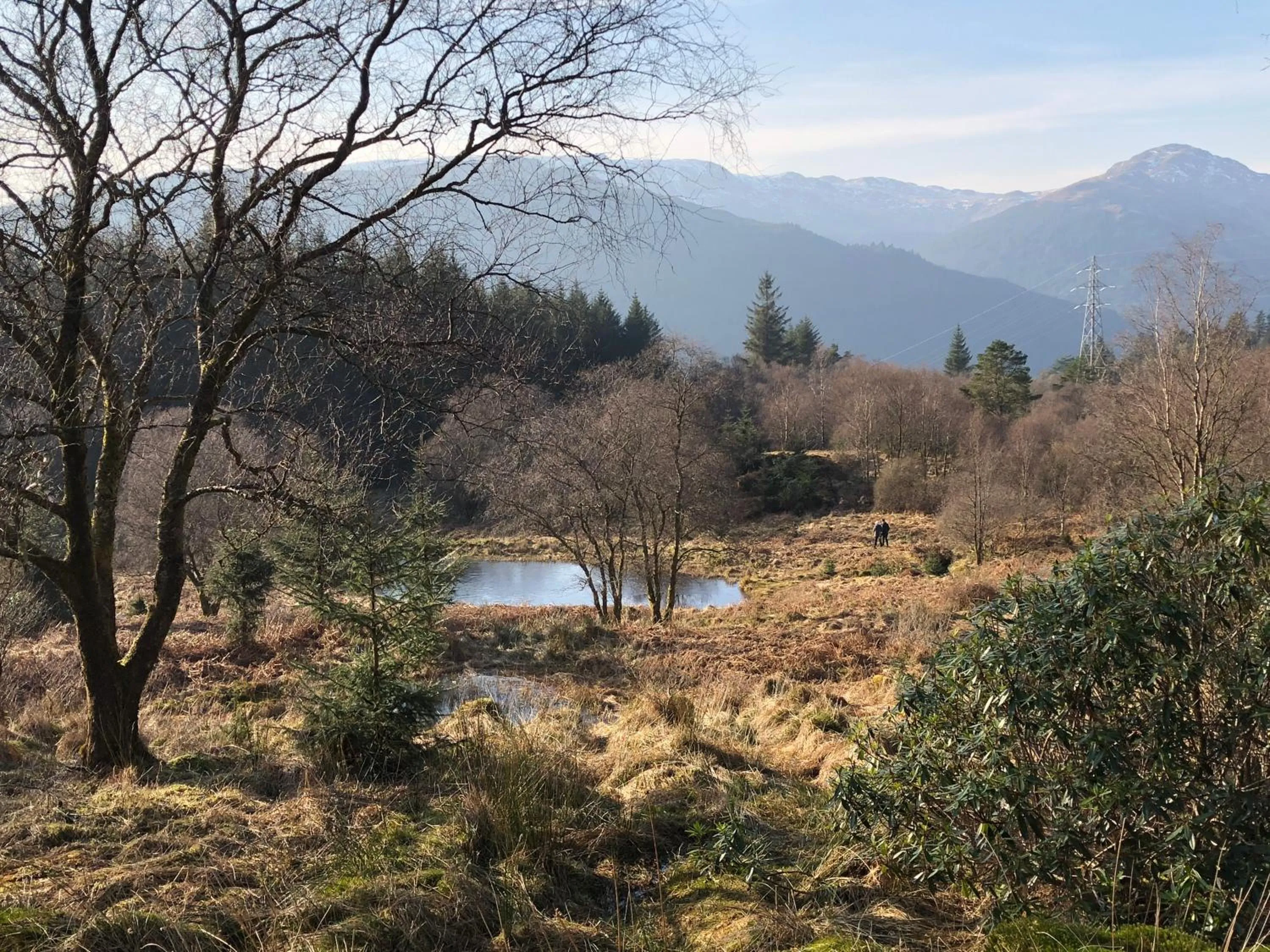 Natural landscape in The Wee Ludging Cottage, Rashfield, by Dunoon