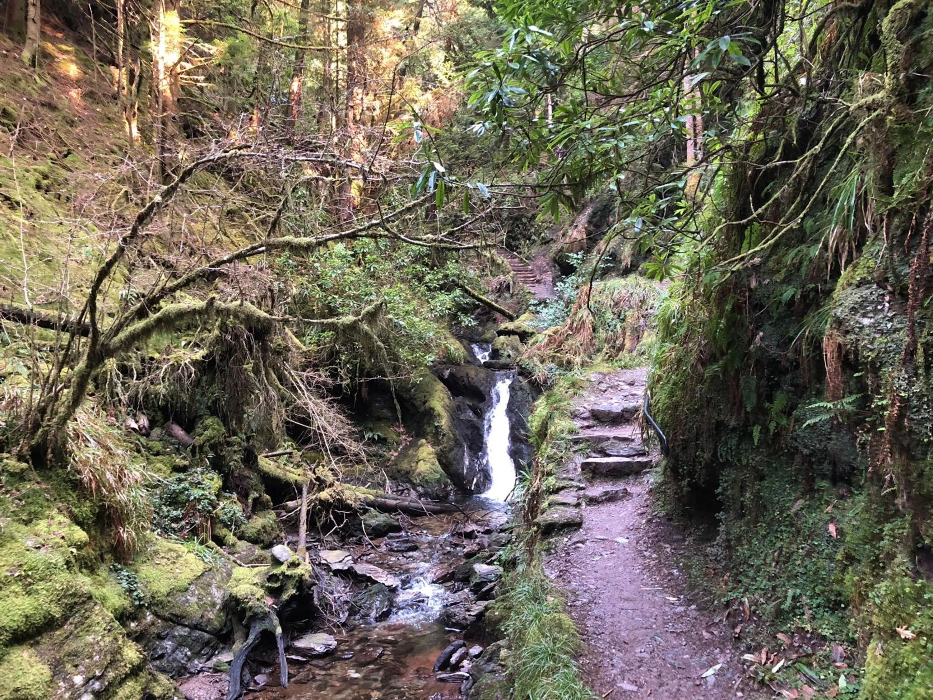 Natural landscape in The Wee Ludging Cottage, Rashfield, by Dunoon