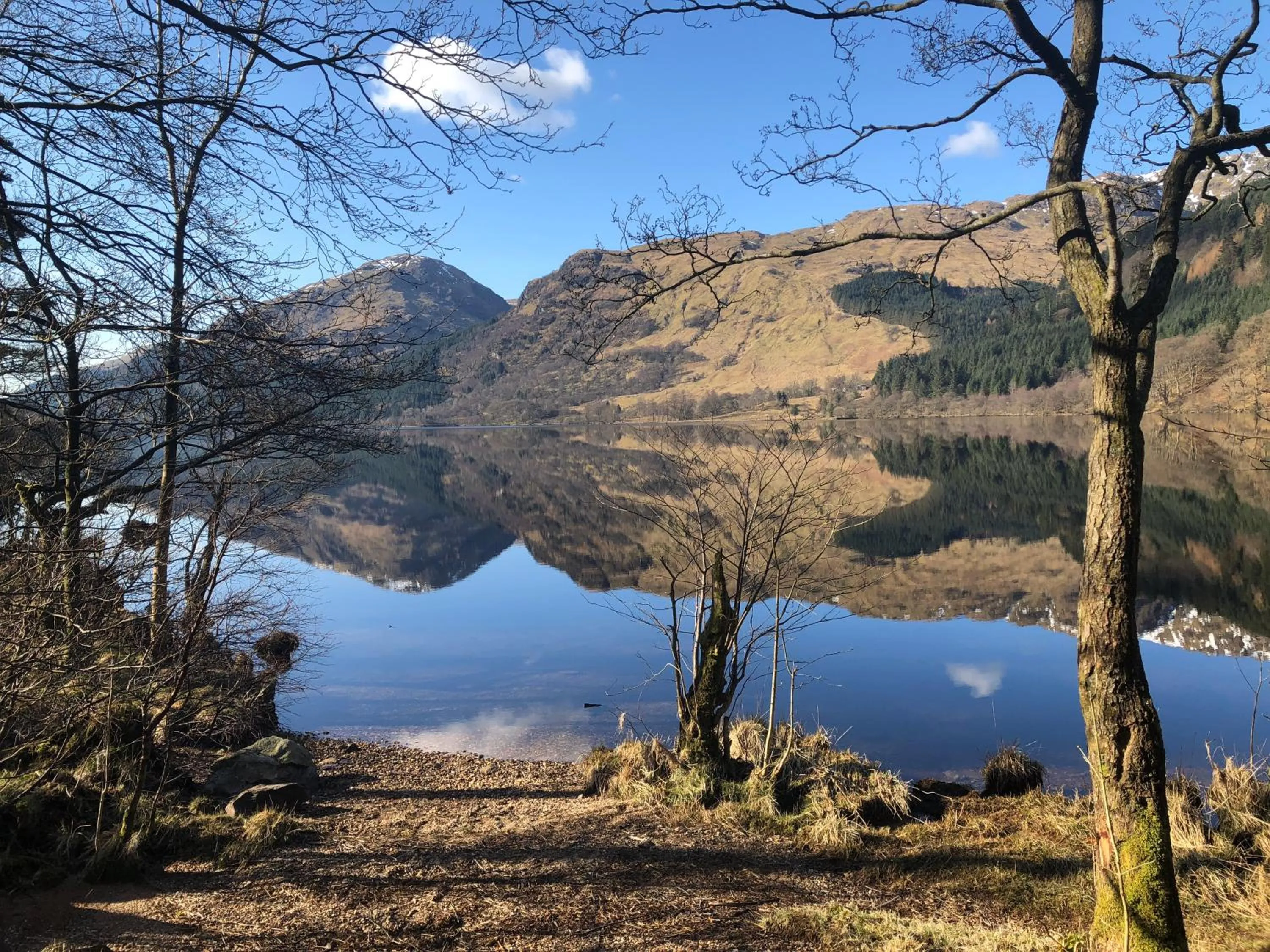 Natural landscape in The Wee Ludging Cottage, Rashfield, by Dunoon