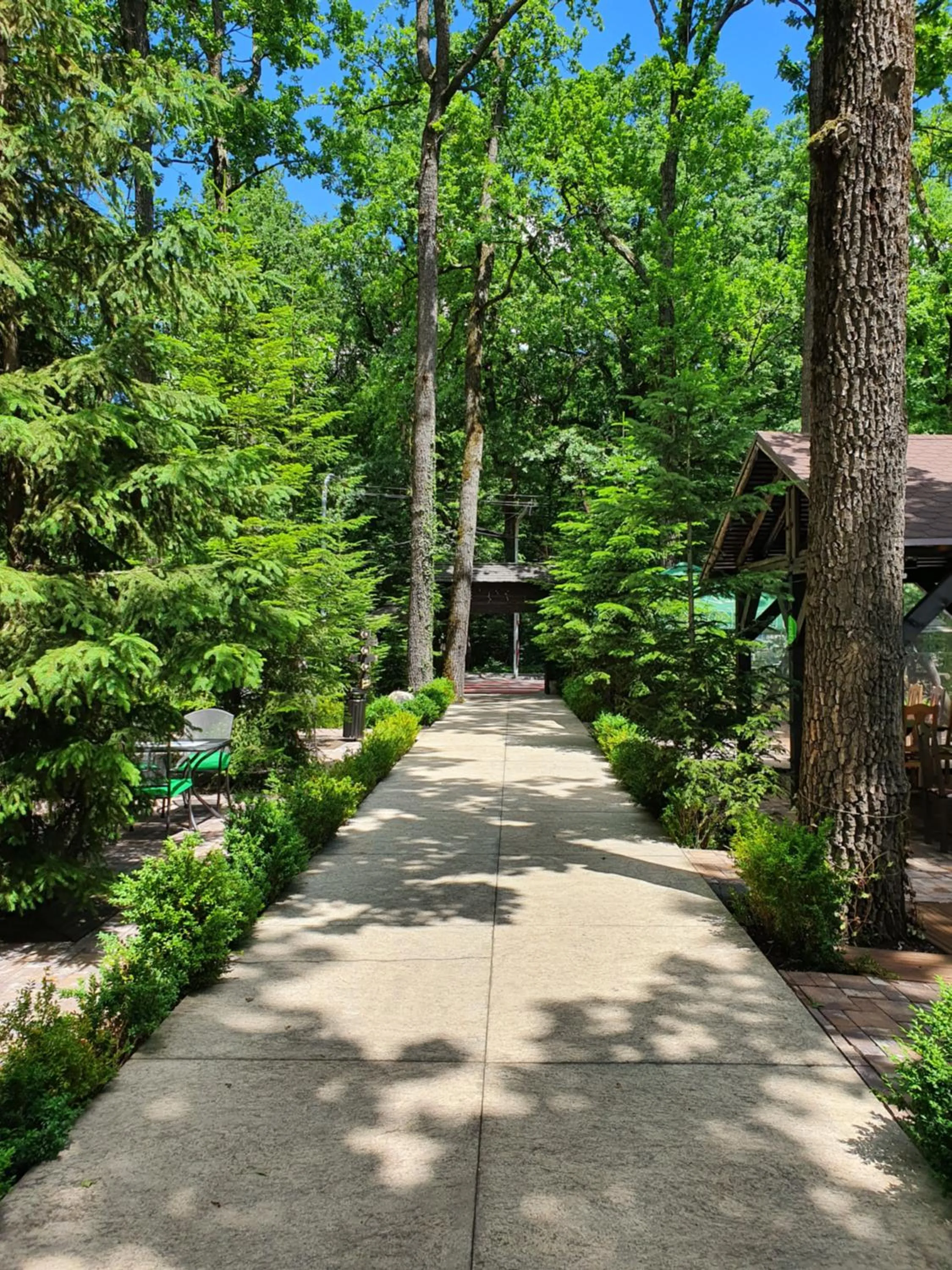 Facade/entrance in Hotel Cornul Vanatorului