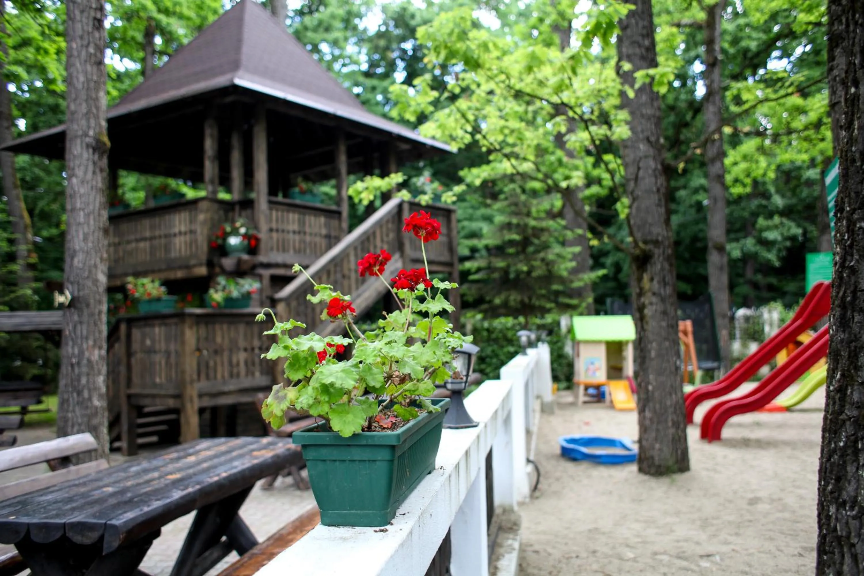 Children play ground in Hotel Cornul Vanatorului