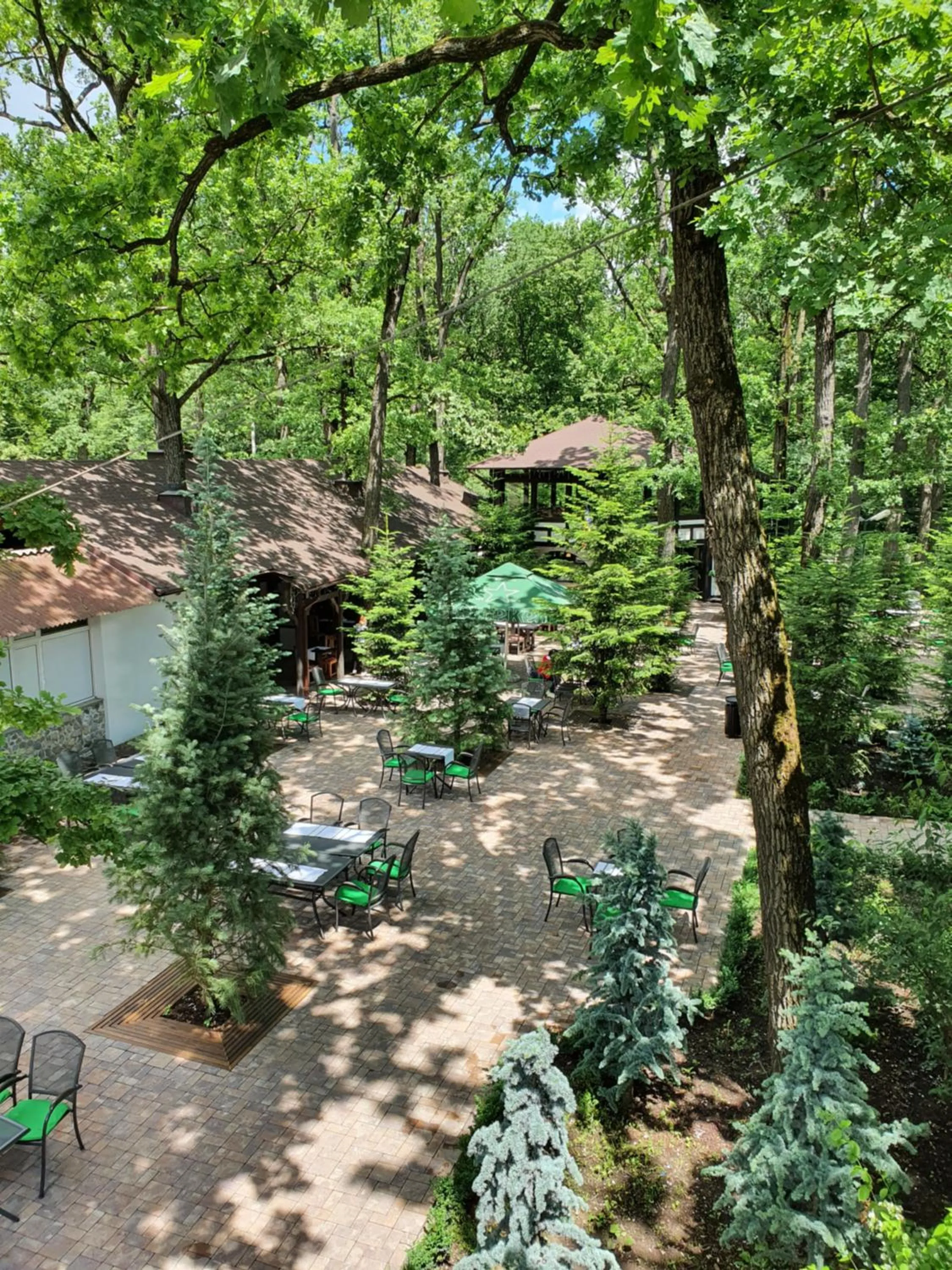 Garden view in Hotel Cornul Vanatorului