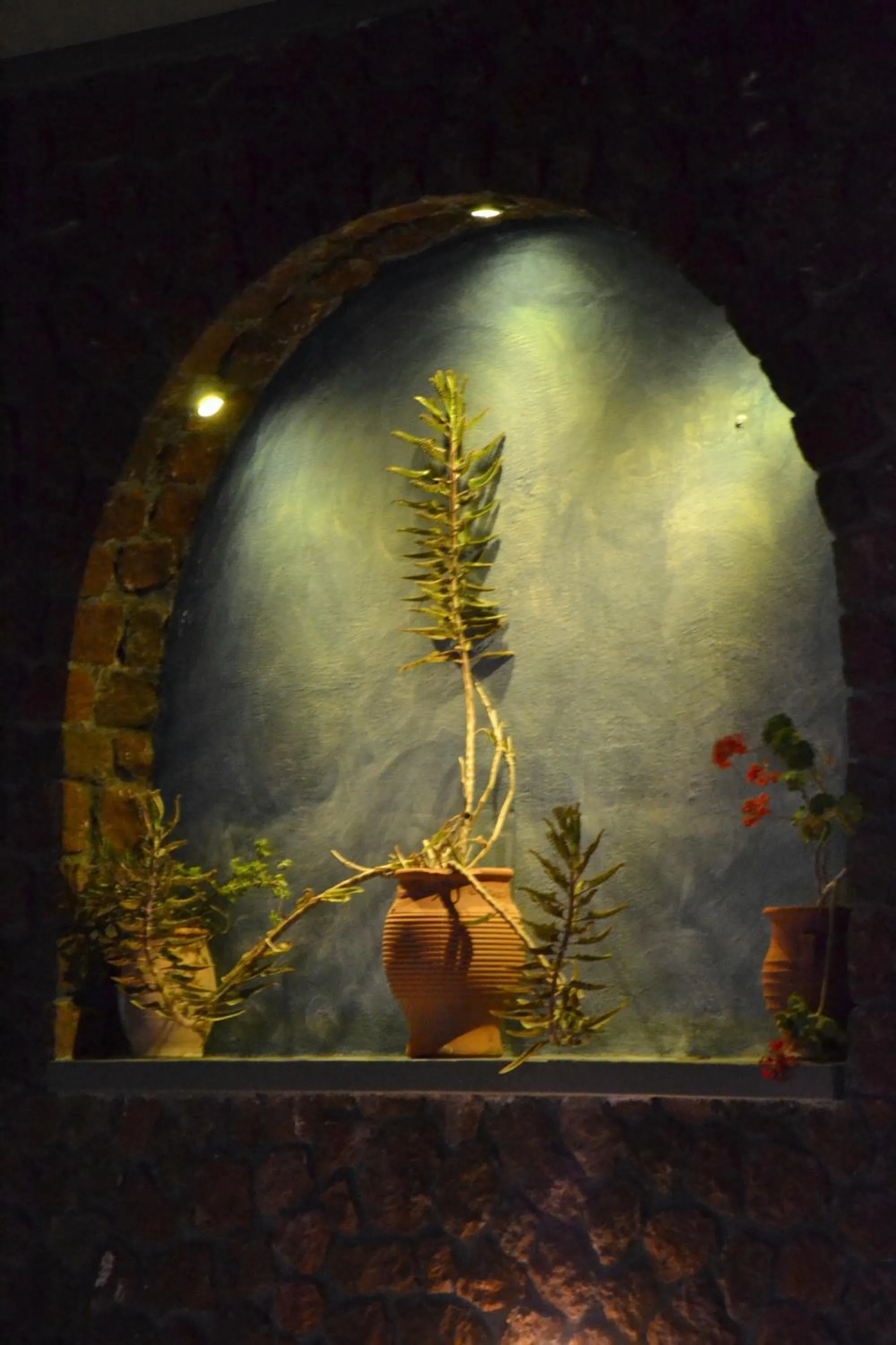 Thousand Stars Suites&Rooms