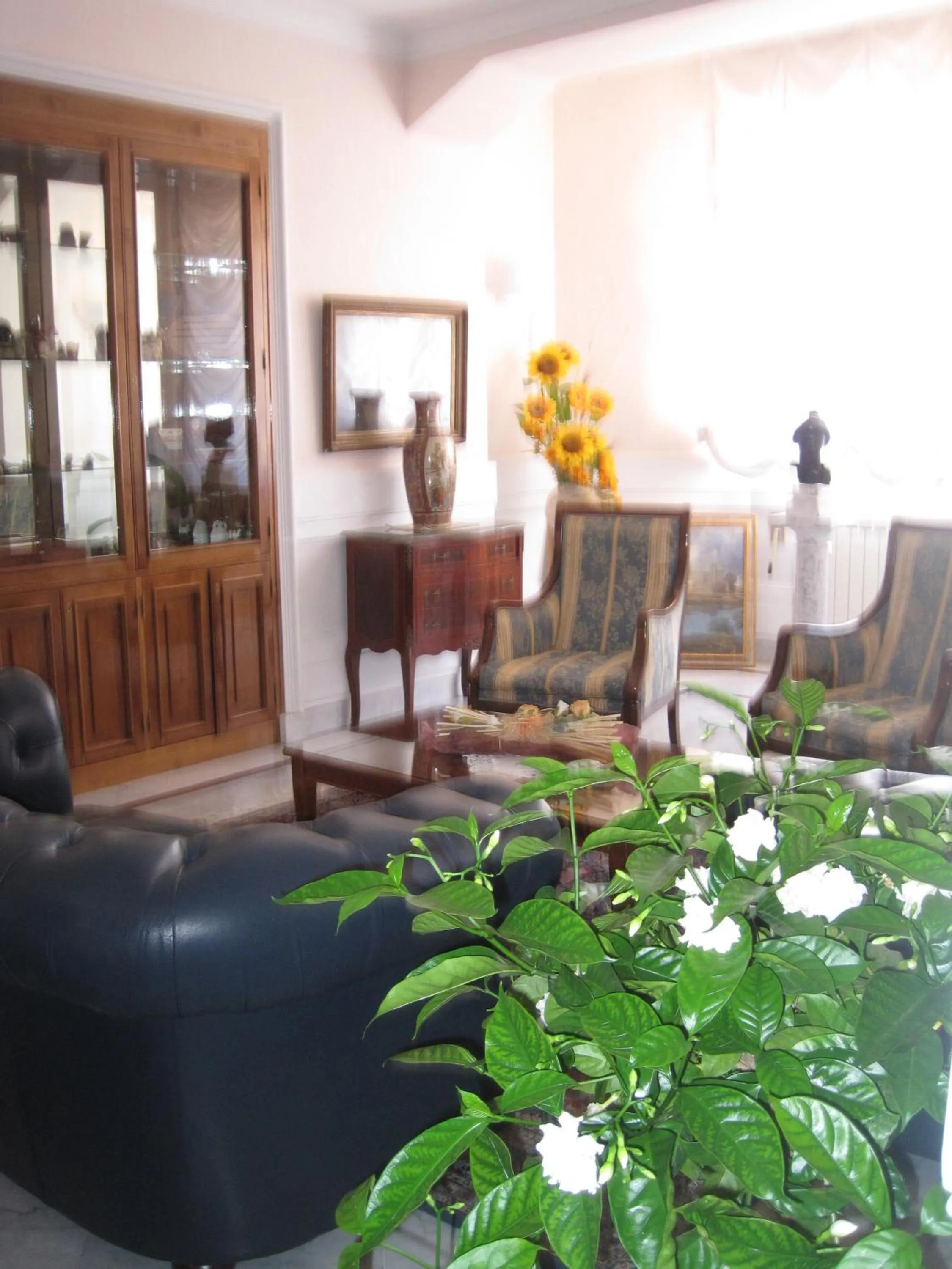 Lobby or reception in Hotel Gioia Garden