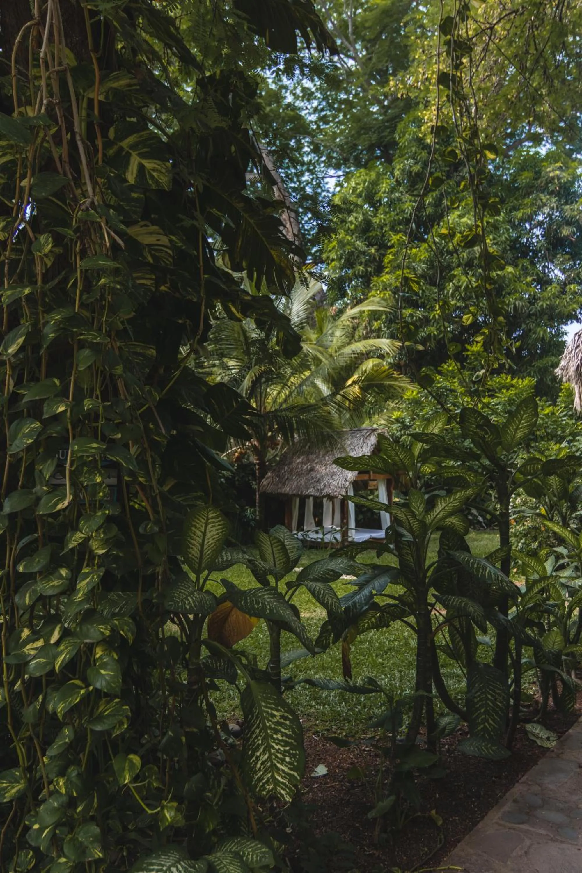 Garden in Hotel Michanti