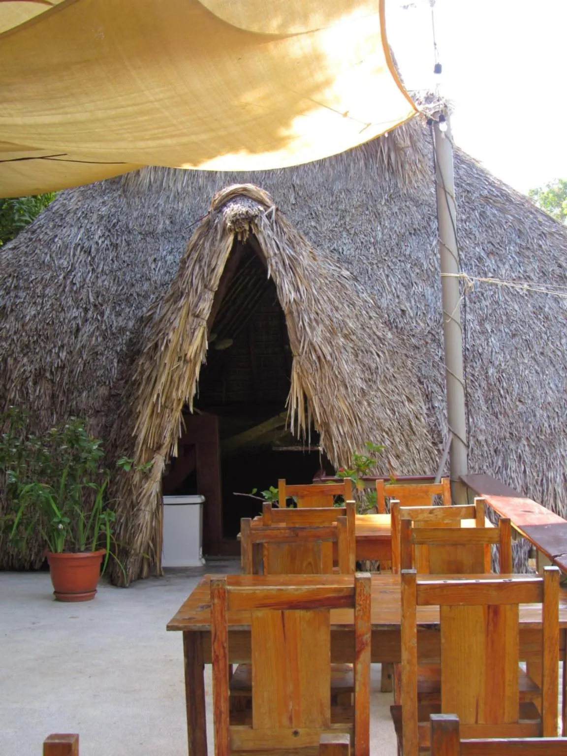 Restaurant/places to eat in Hotel Michanti