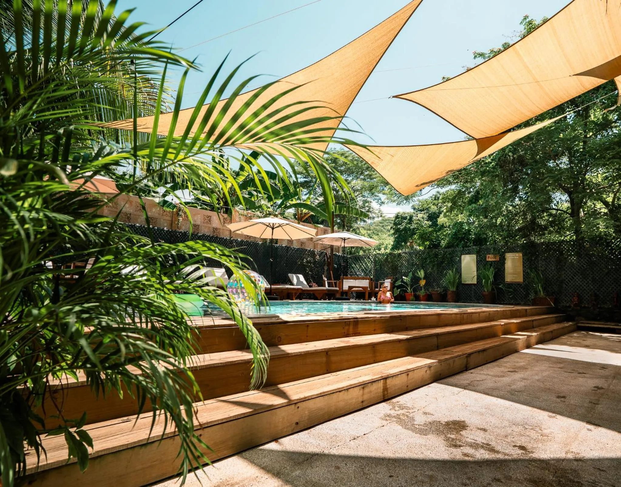 Garden view in Hotel Michanti