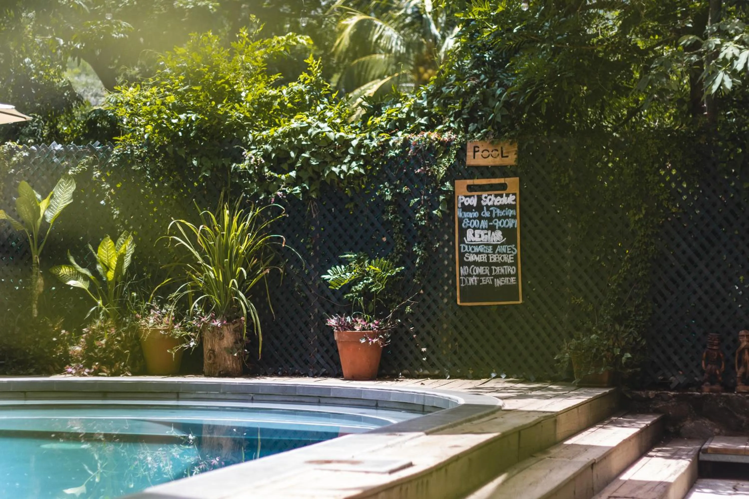 Pool view in Hotel Michanti