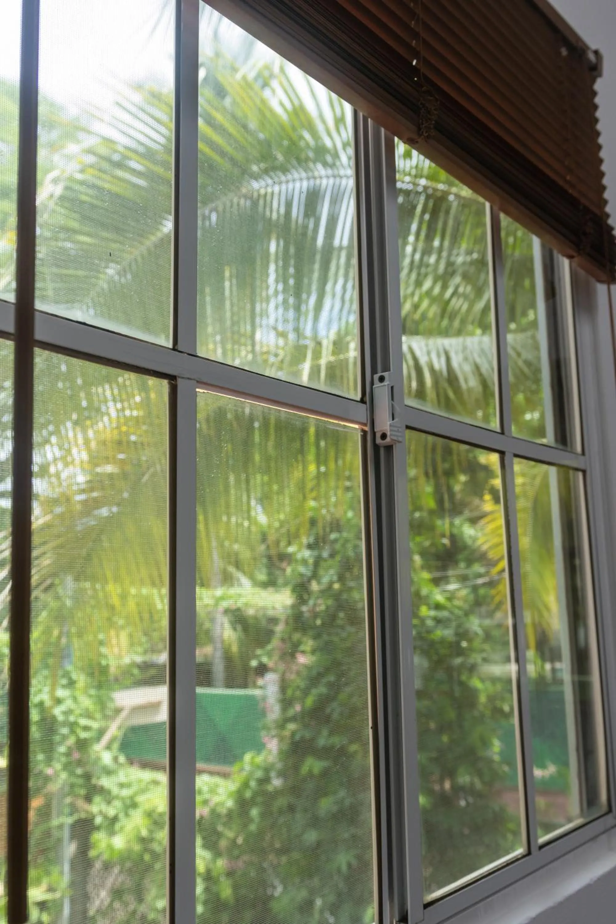 Garden view in Hotel Michanti