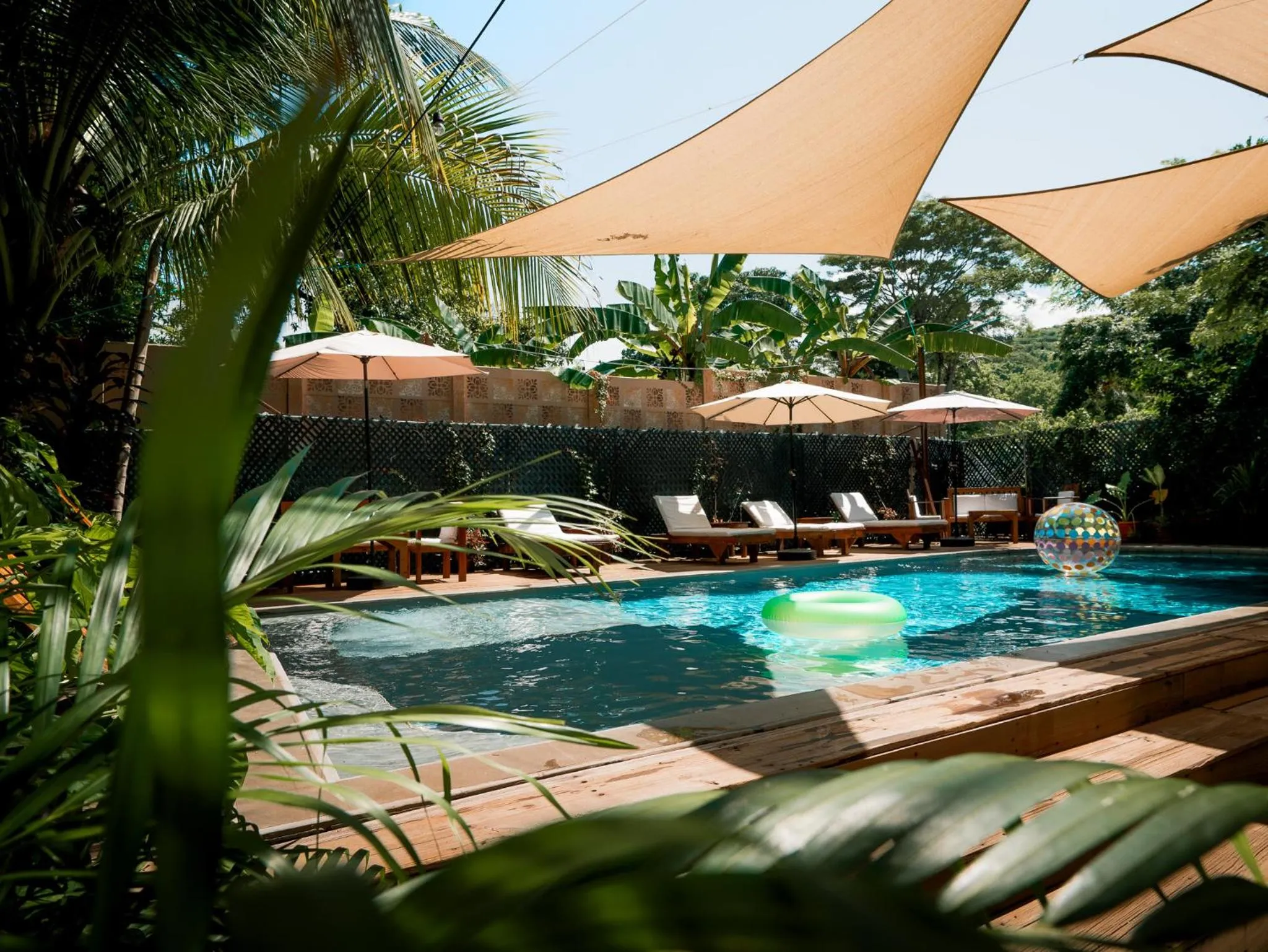 Swimming pool in Hotel Michanti