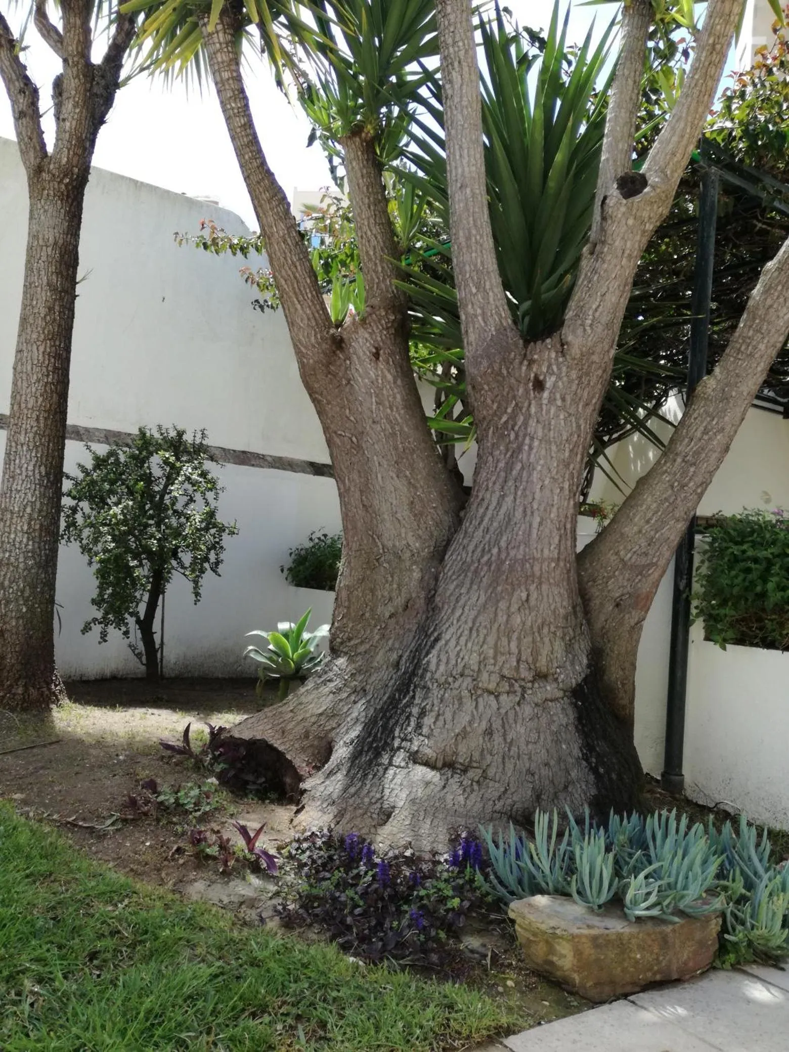 Sensations Guesthouse