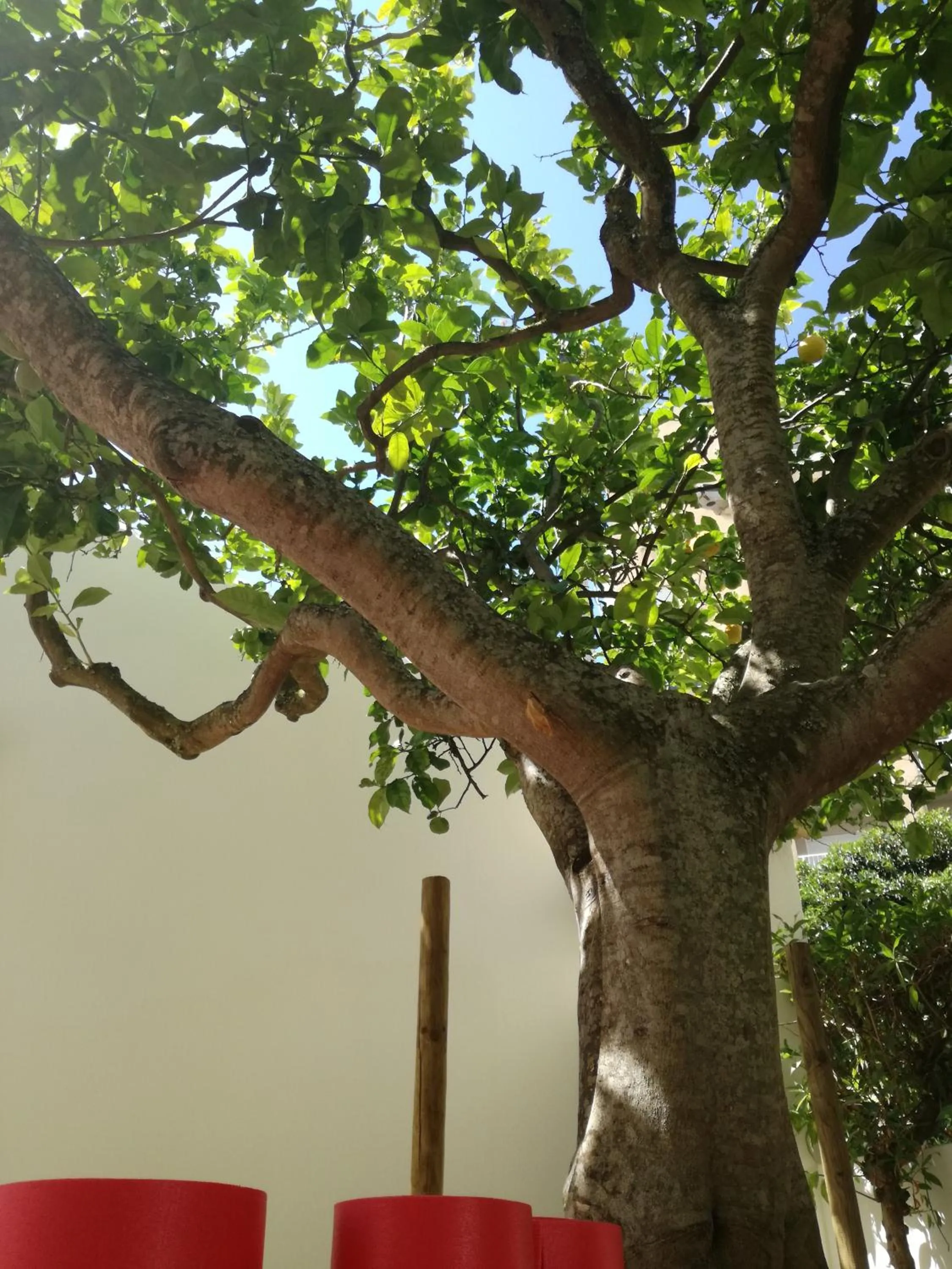 Patio in Sensations Guesthouse