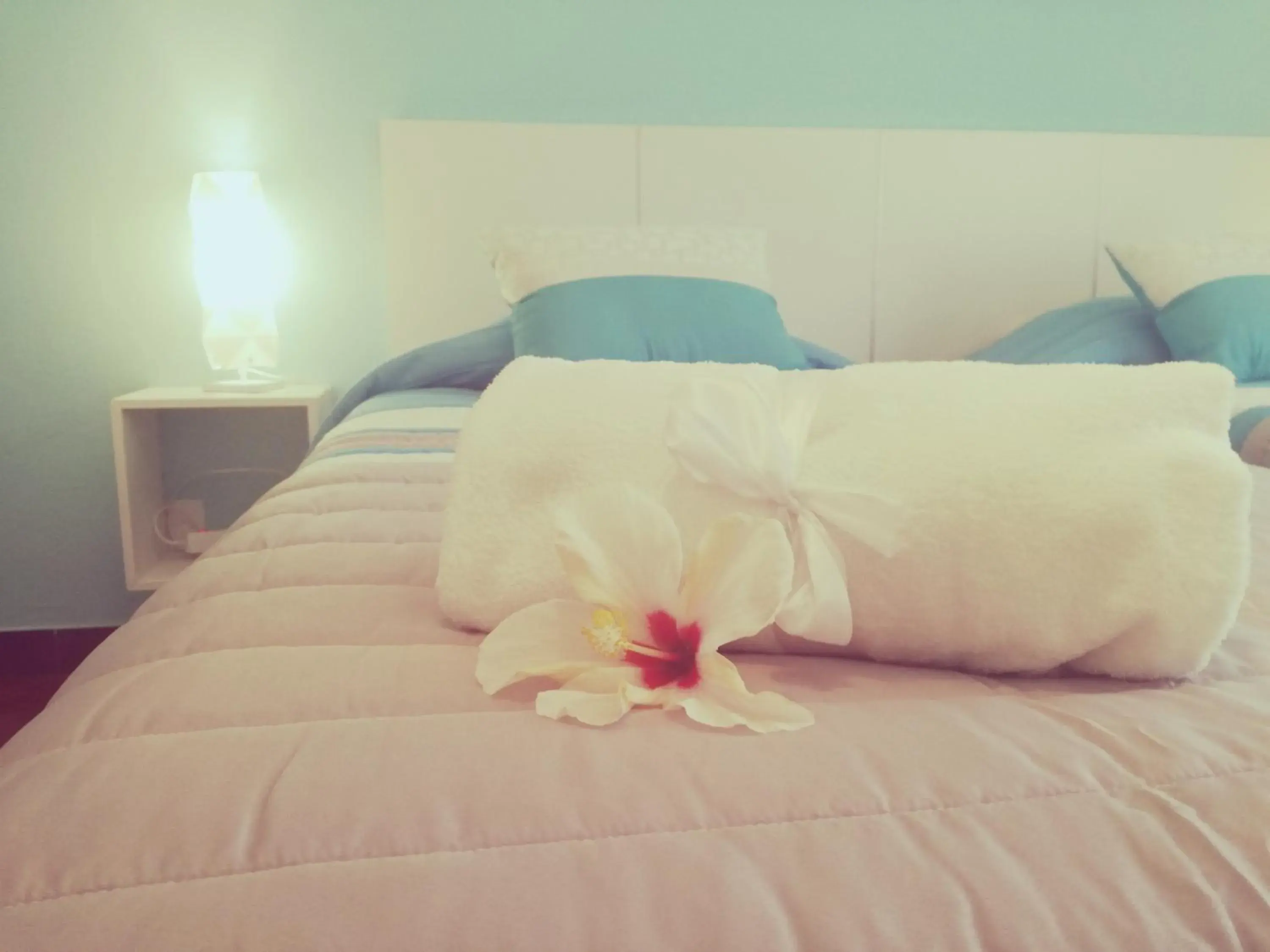 Large Twin Room - single occupancy in Sensations Guesthouse Large Twin Room - single occupancy in Sensations Guesthouse