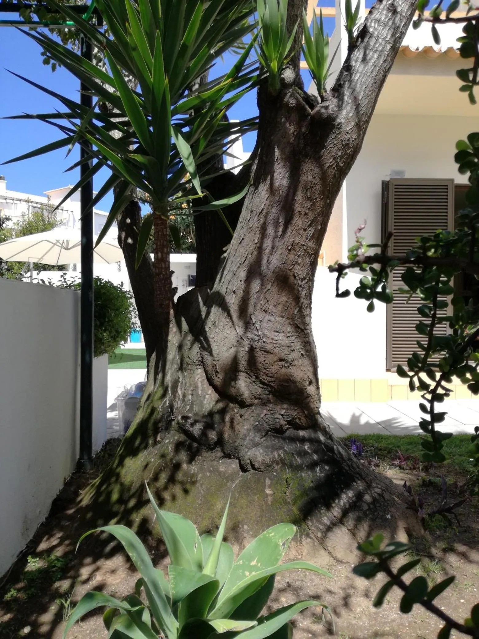 Sensations Guesthouse