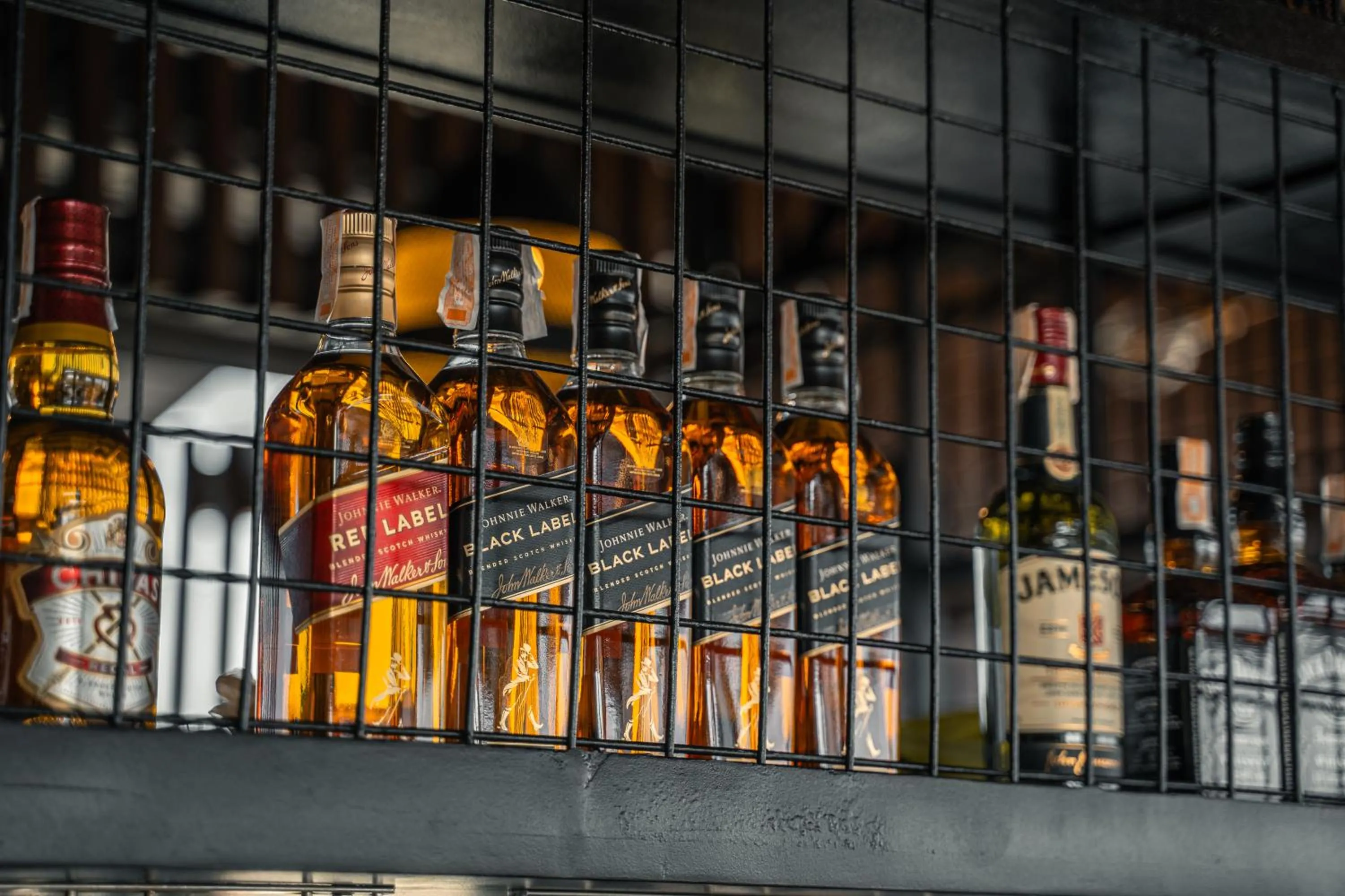 Nightclub / DJ in Yello! Hotel