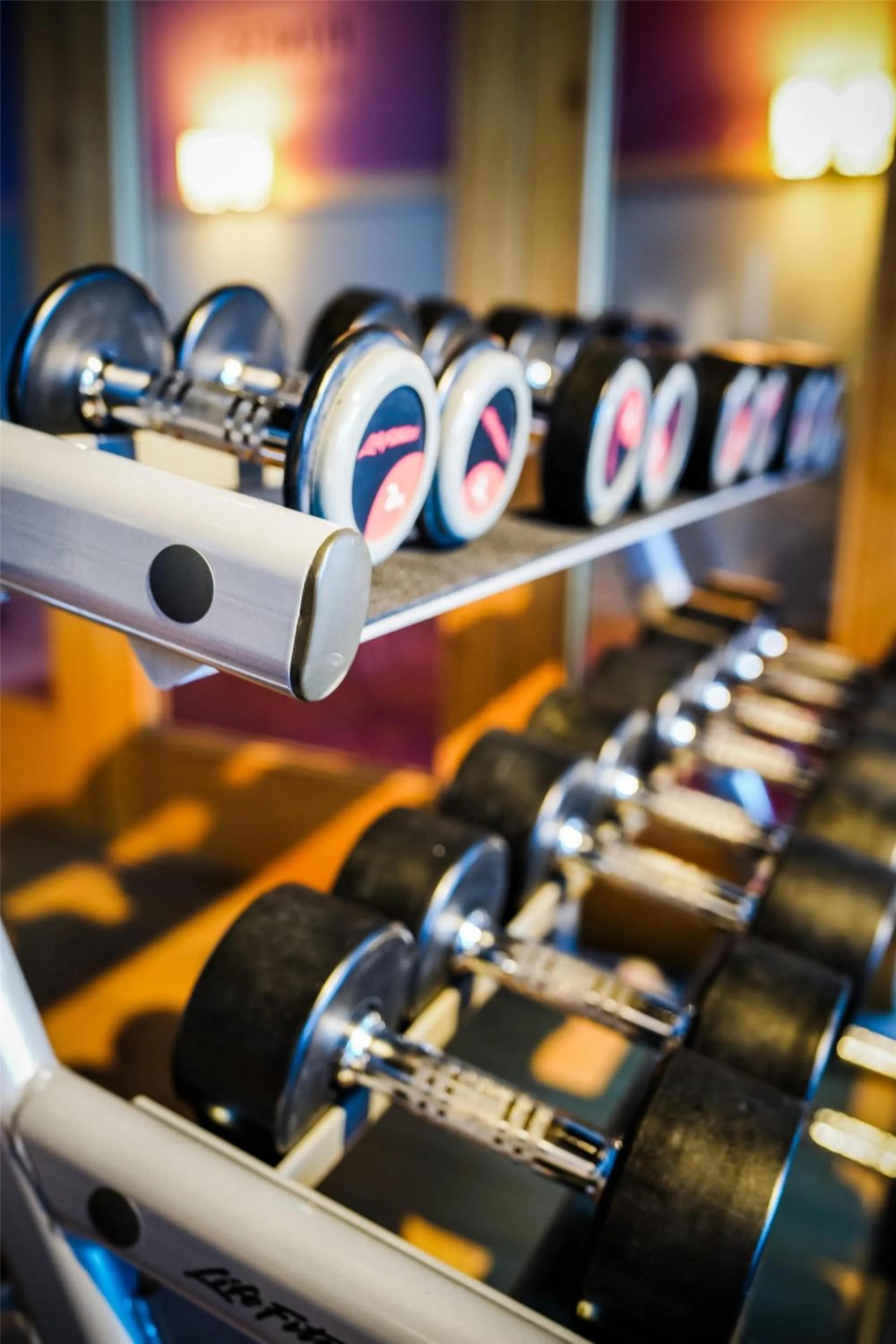 Fitness centre/facilities in Frutt Mountain Resort