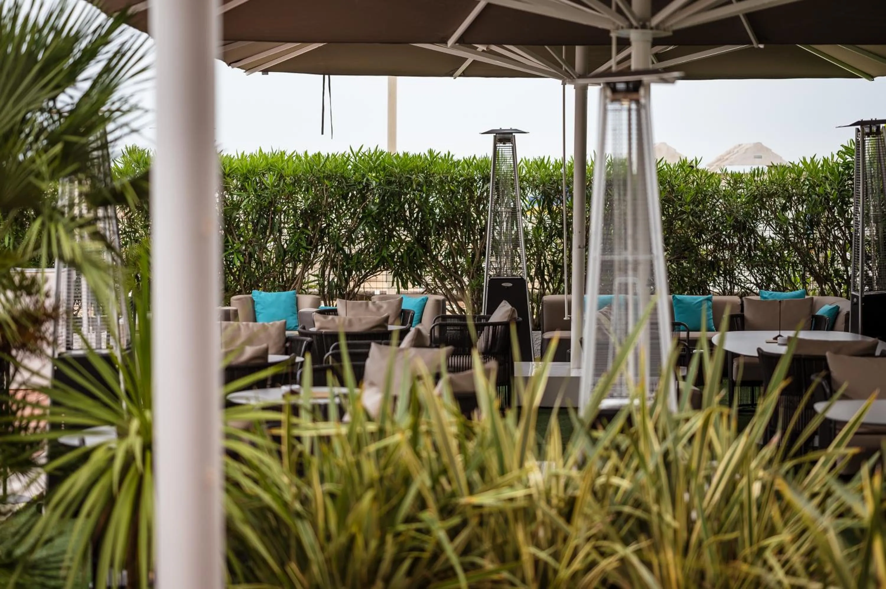 Lounge or bar in Hotel Delle Rose