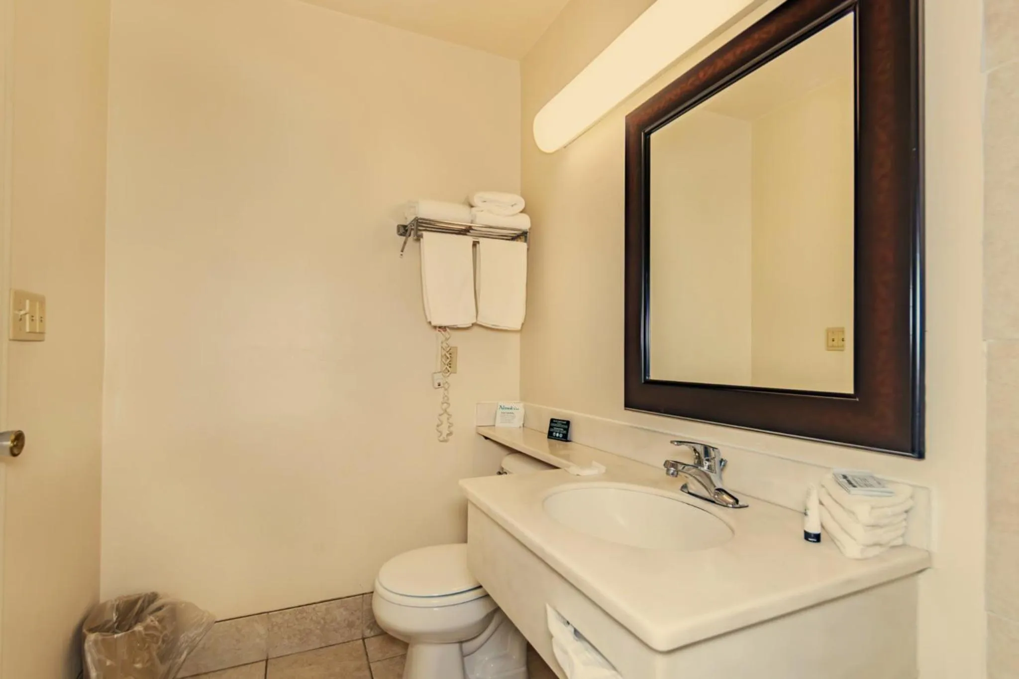 Bathroom in Americas Best Value Inn Ashtabula/Austinburg