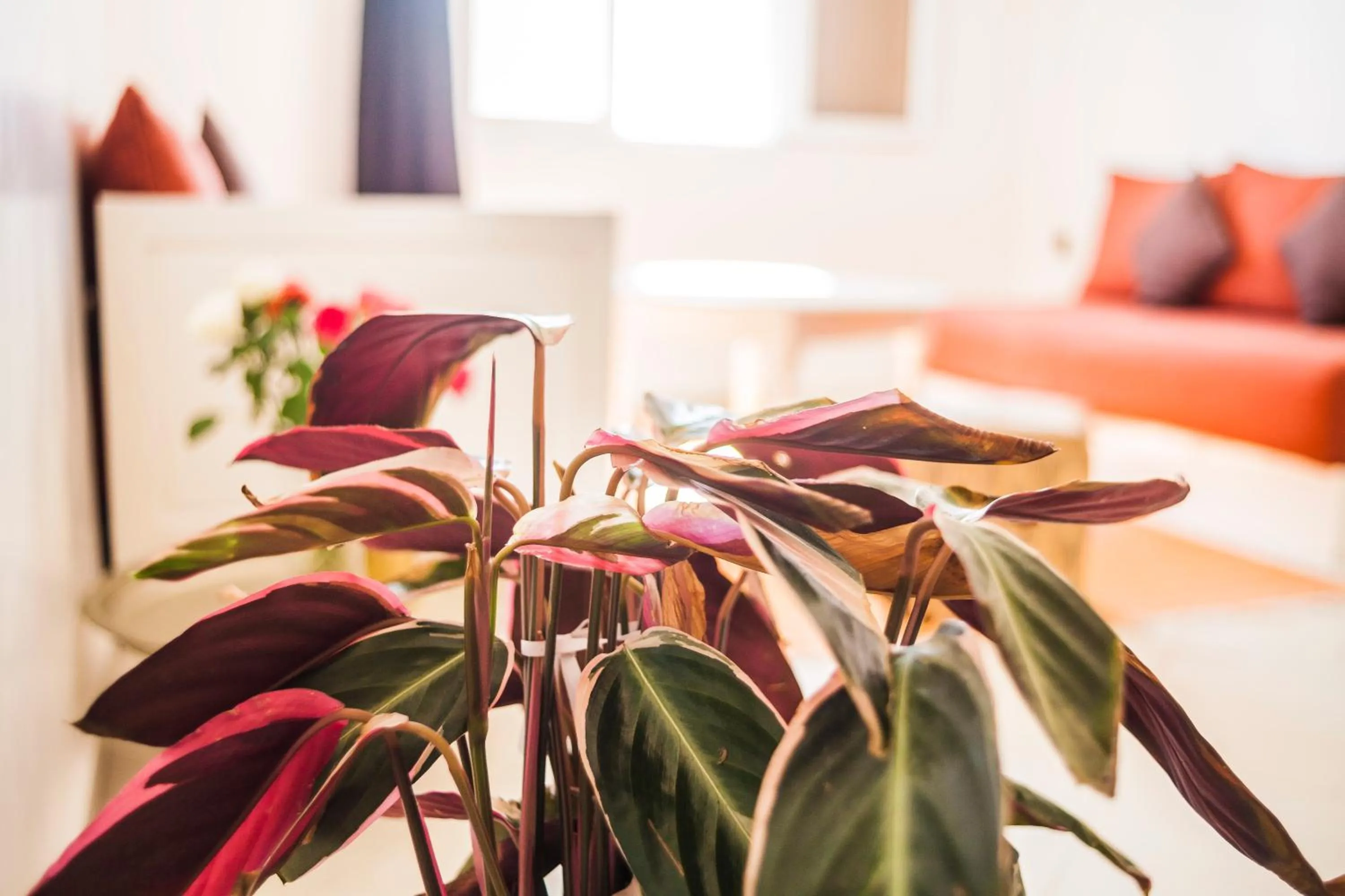 Decorative detail in Résidence Louzani