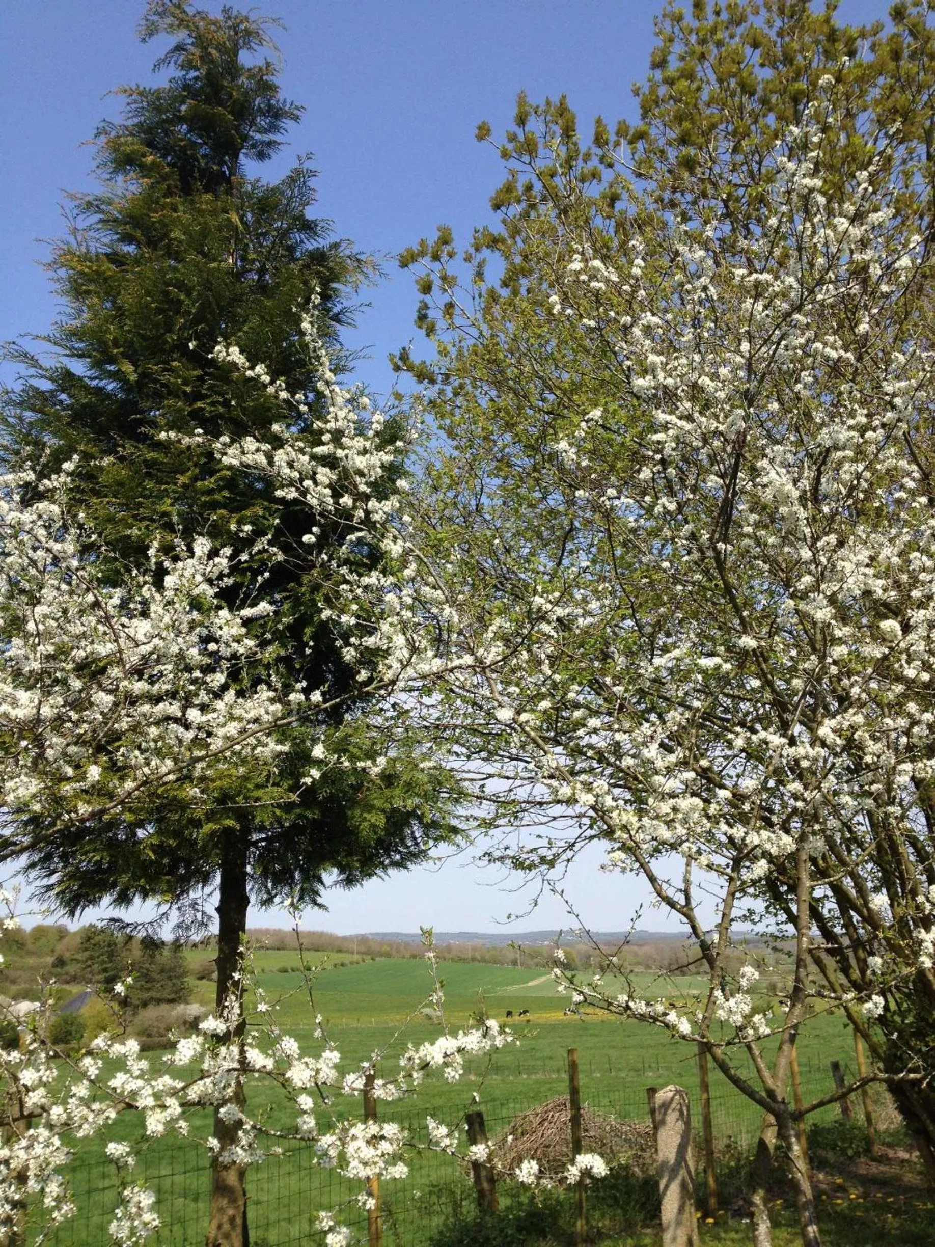 Children play ground in Greenfield Chambres d'Hôtes