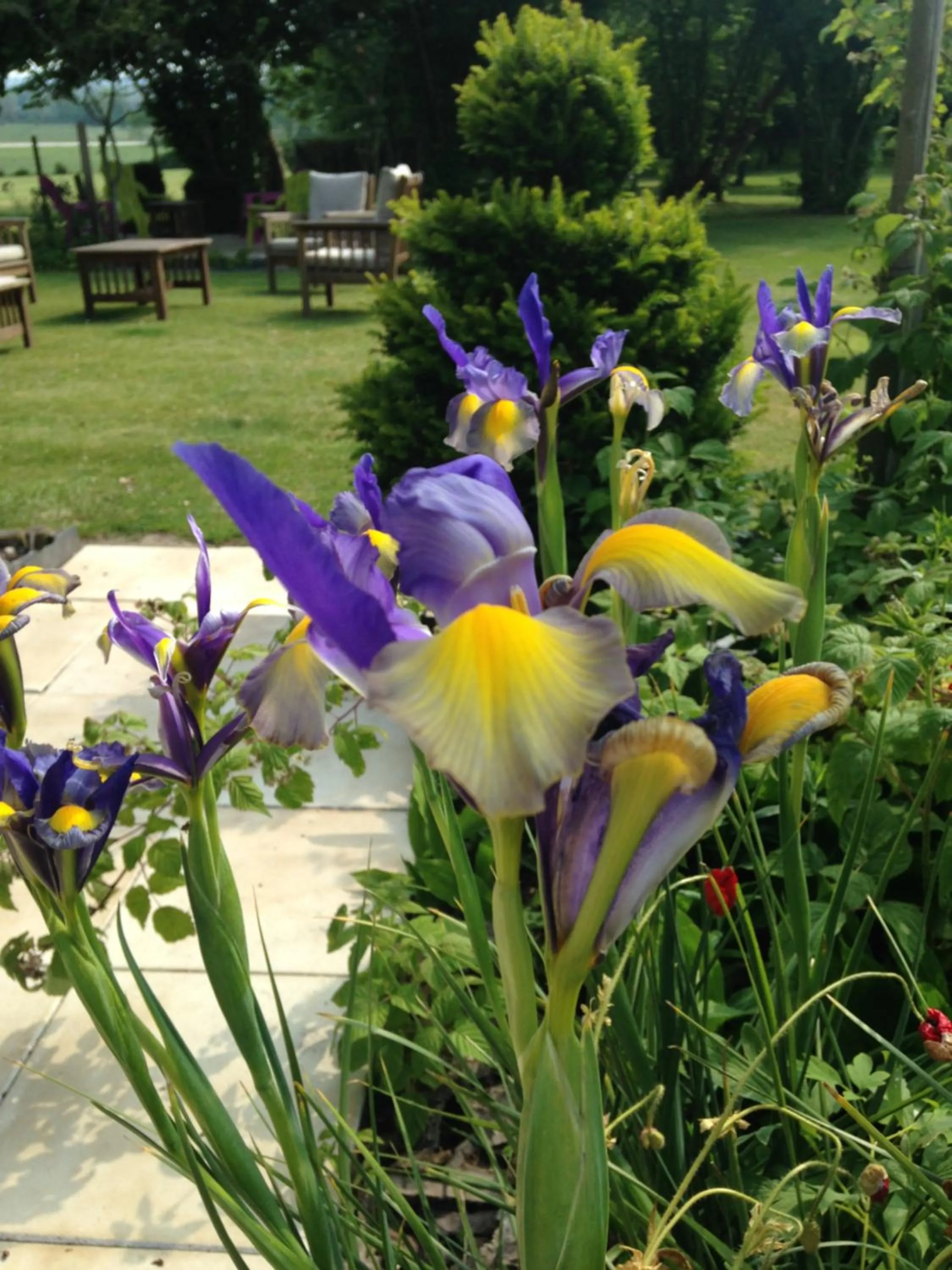Garden in Greenfield Chambres d'Hôtes