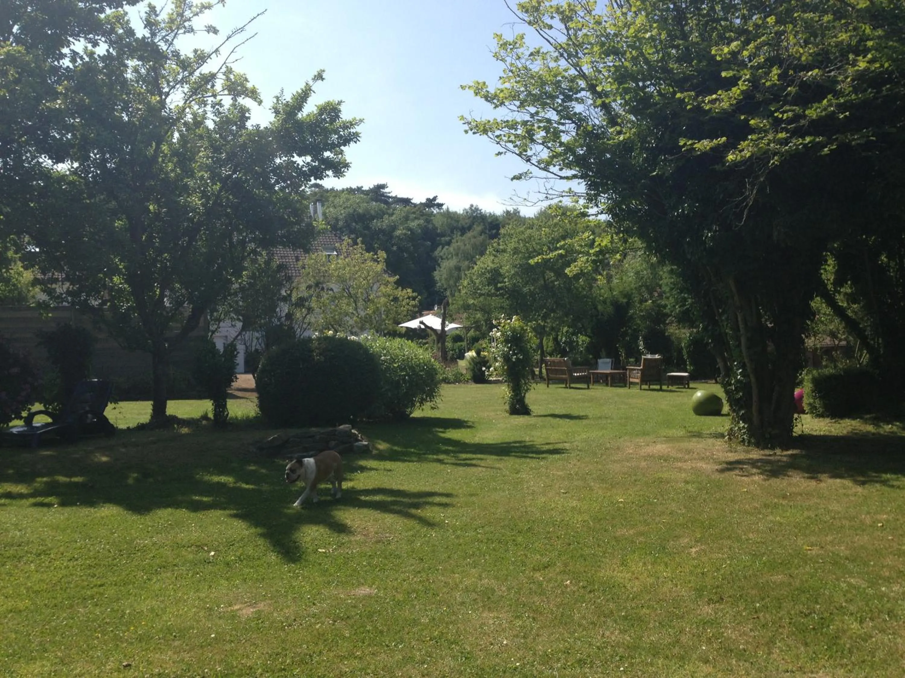Natural landscape in Greenfield Chambres d'Hôtes