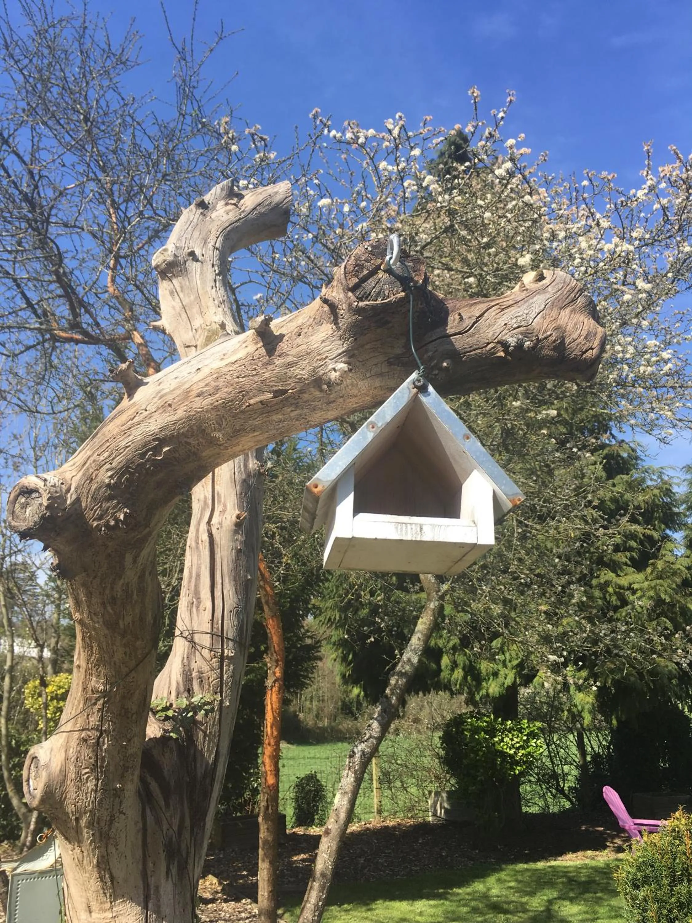 Garden in Greenfield Chambres d'Hôtes
