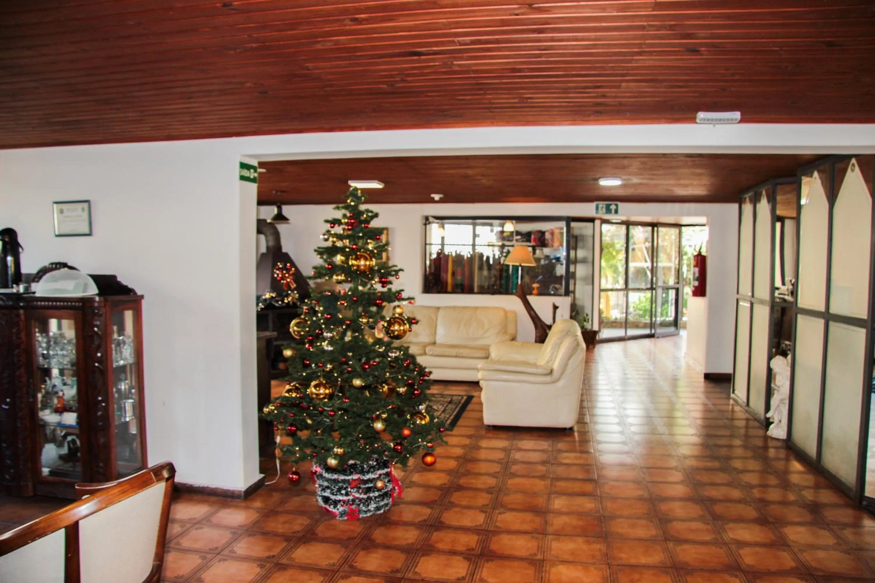 Lounge or bar in Hotel Salvador