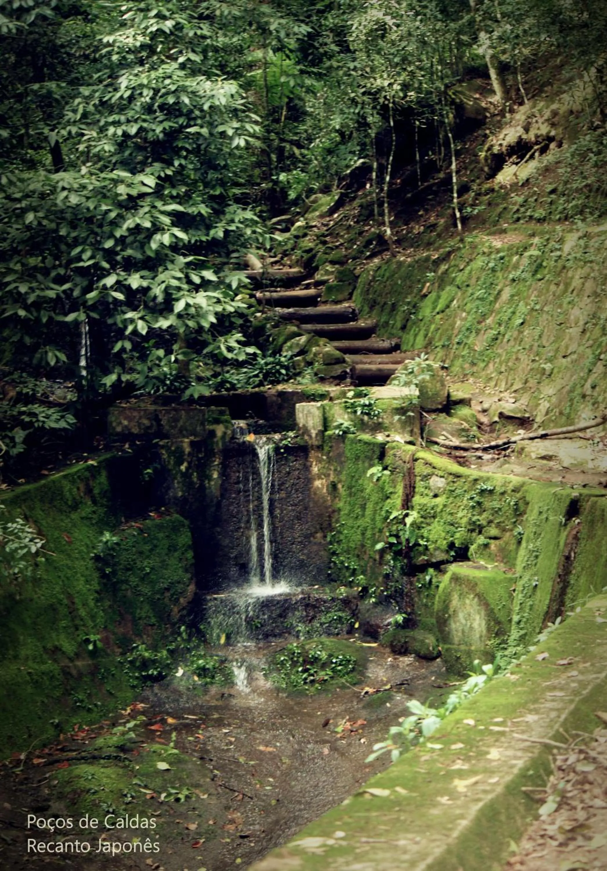Natural landscape in Hotel Salvador