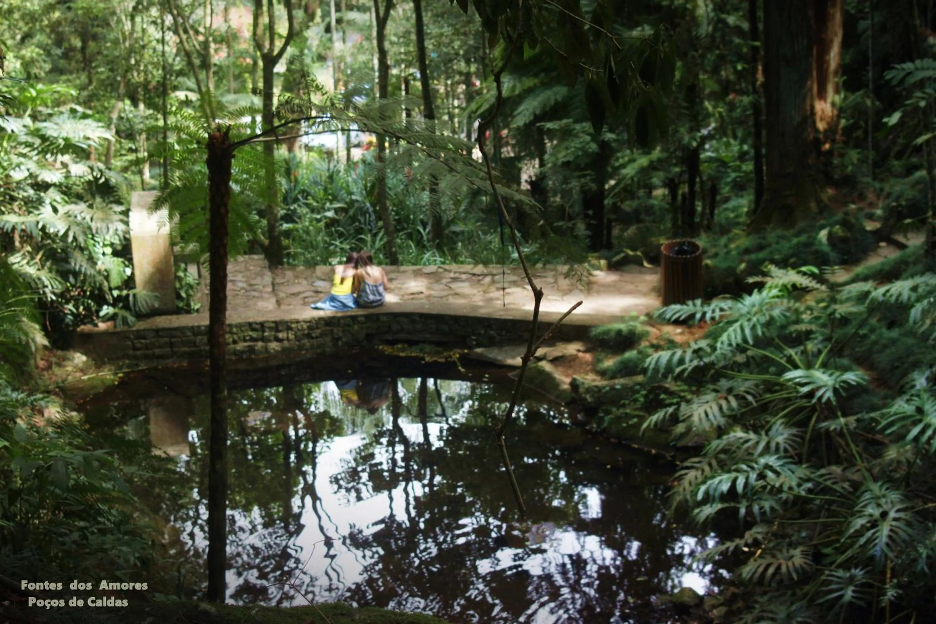 Natural landscape in Hotel Salvador