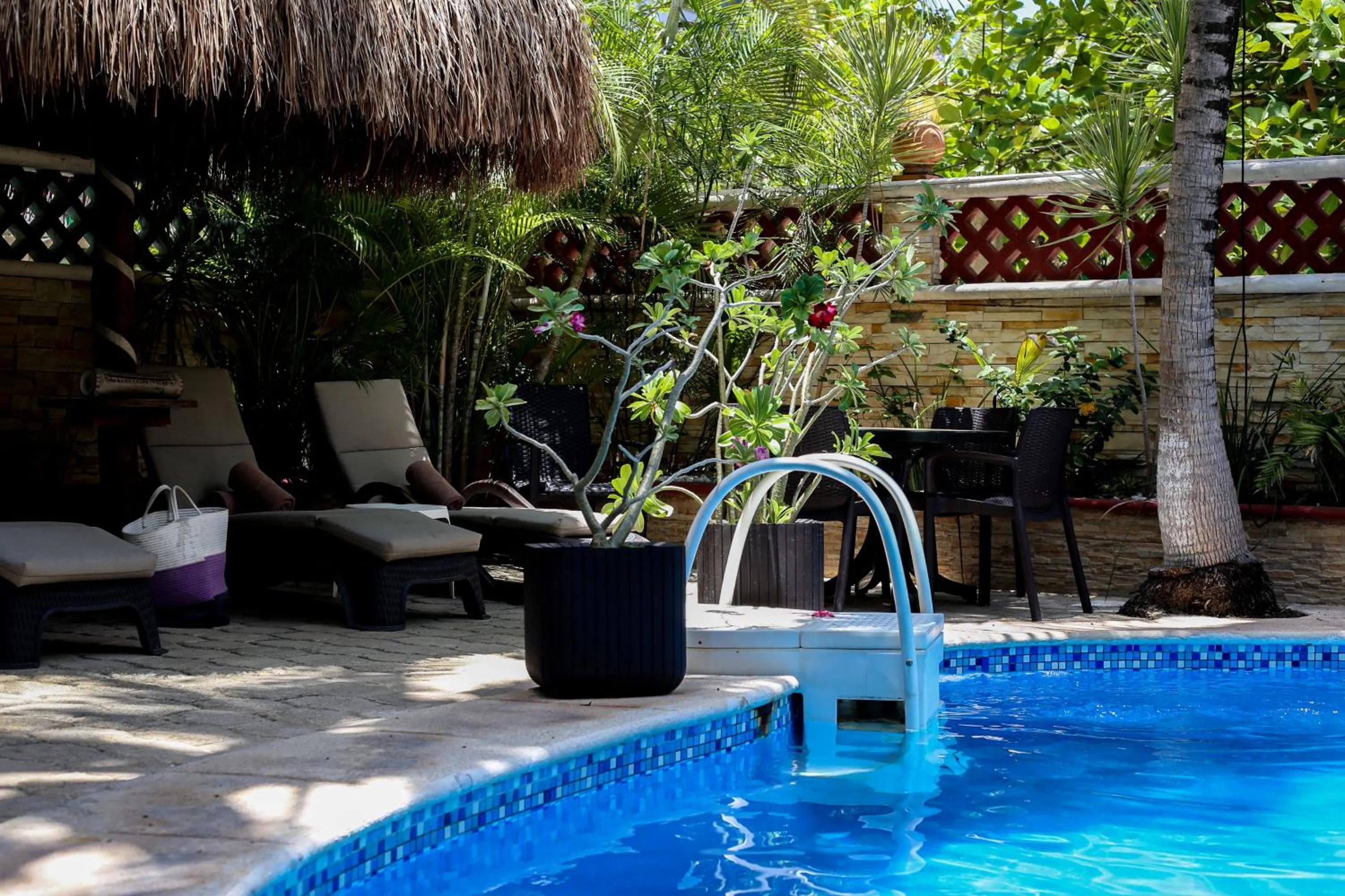 Swimming pool in Cocos Cabañas Playa del Carmen Adults Only